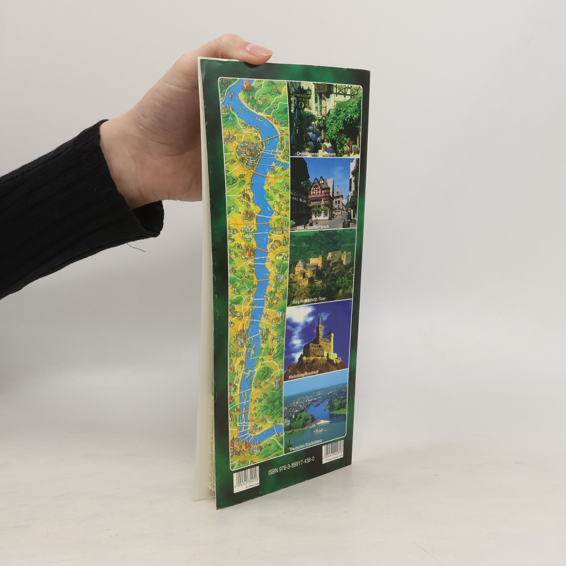 Various authors Le cours du Rhin