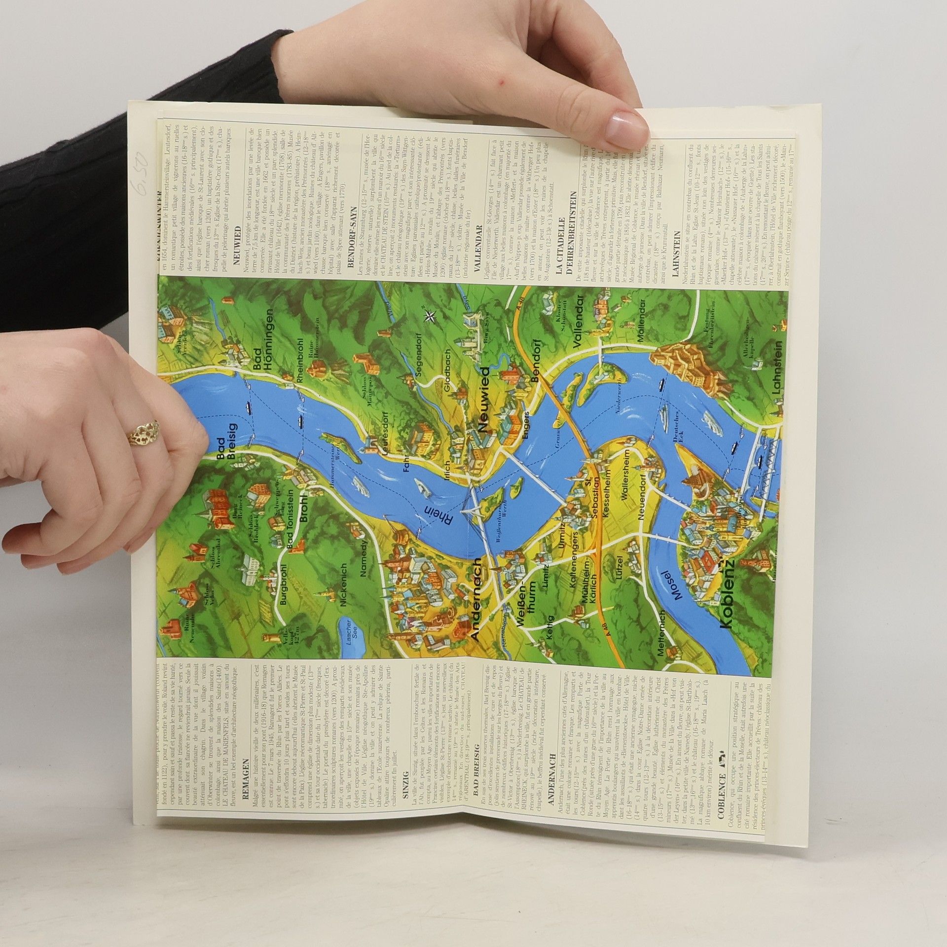 Various authors Le cours du Rhin