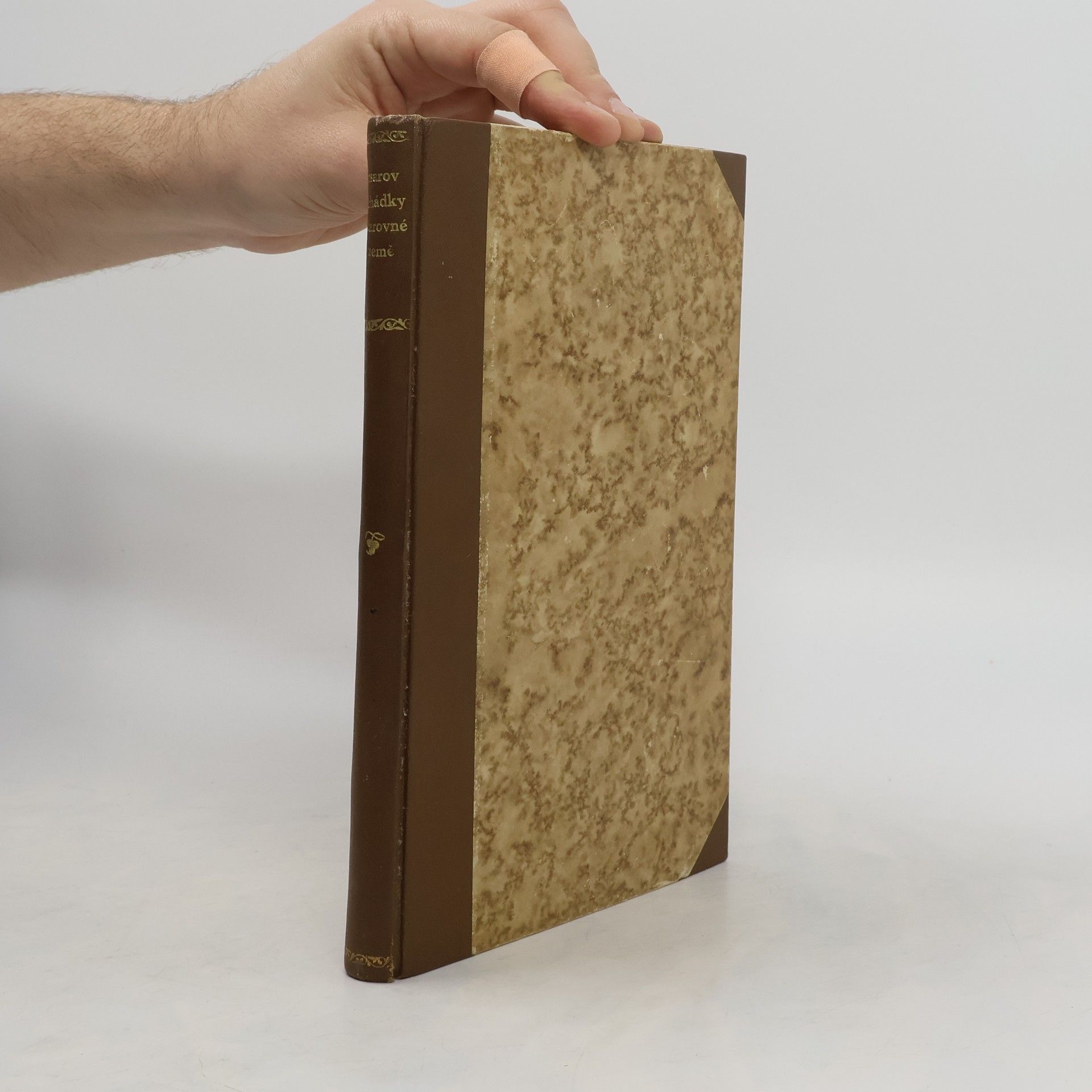 Šaša Insarov Pohádky z čarovné země