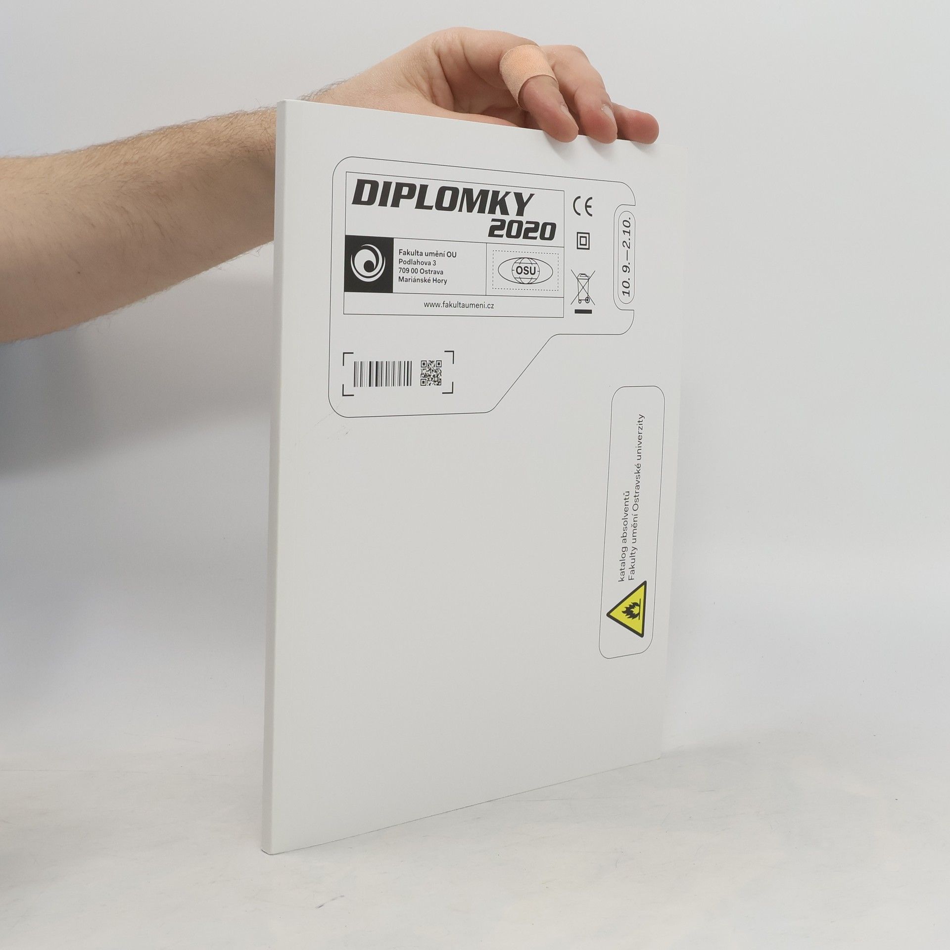 Kolektiv autorů Diplomky 2020