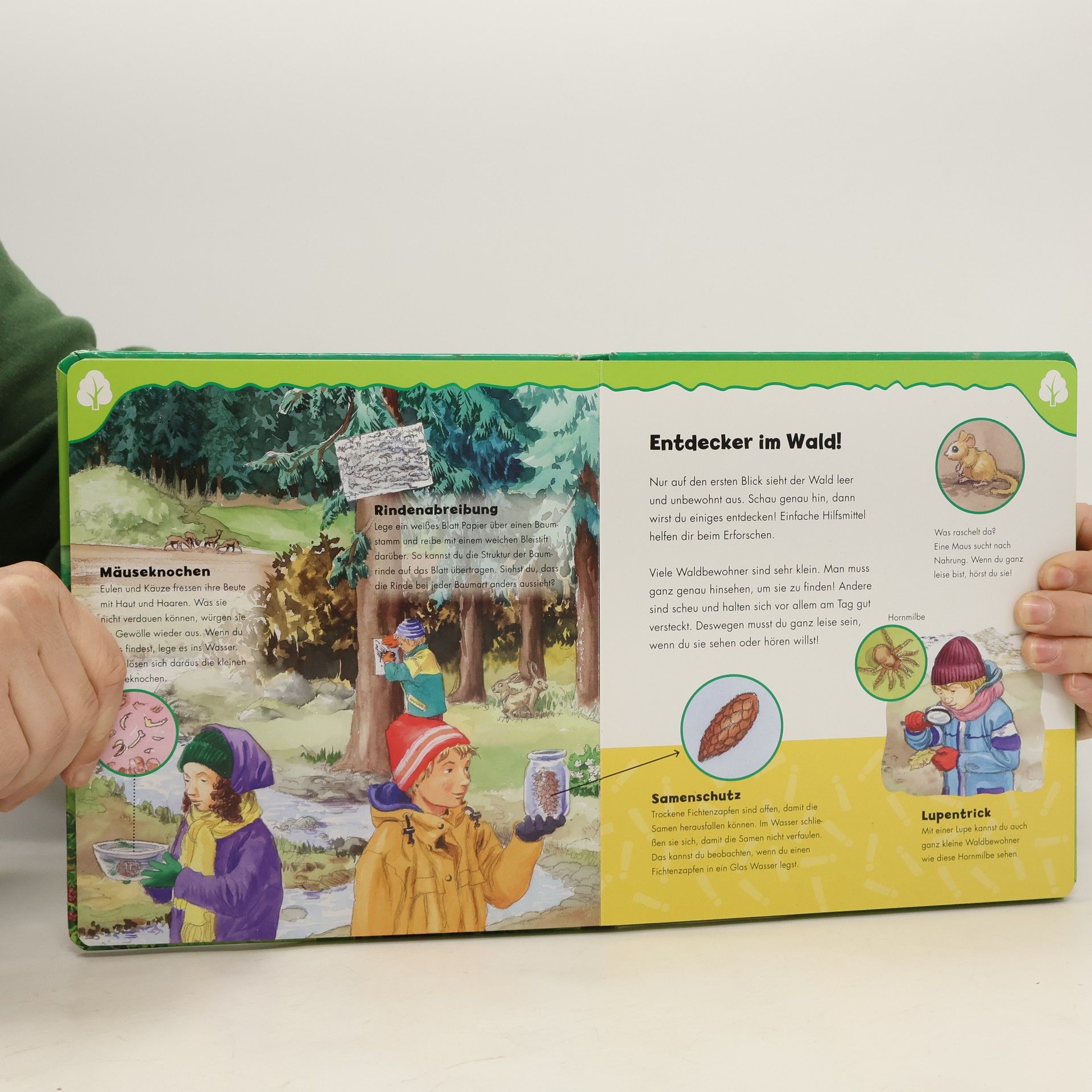 kolektiv Der Wald für Entdeckerkinder