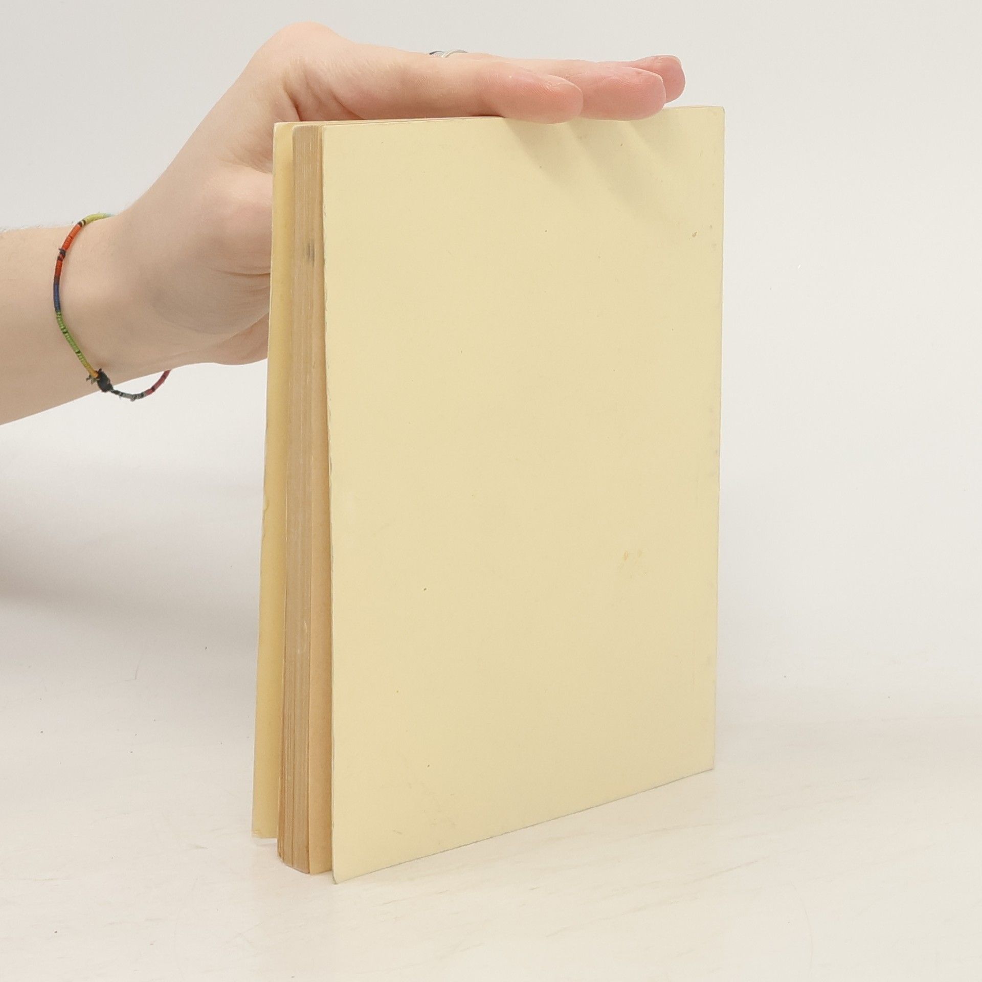 Autorenkollektiv Gebete und Lieder. Handbuch für Montfortanische Pilgerfahrten