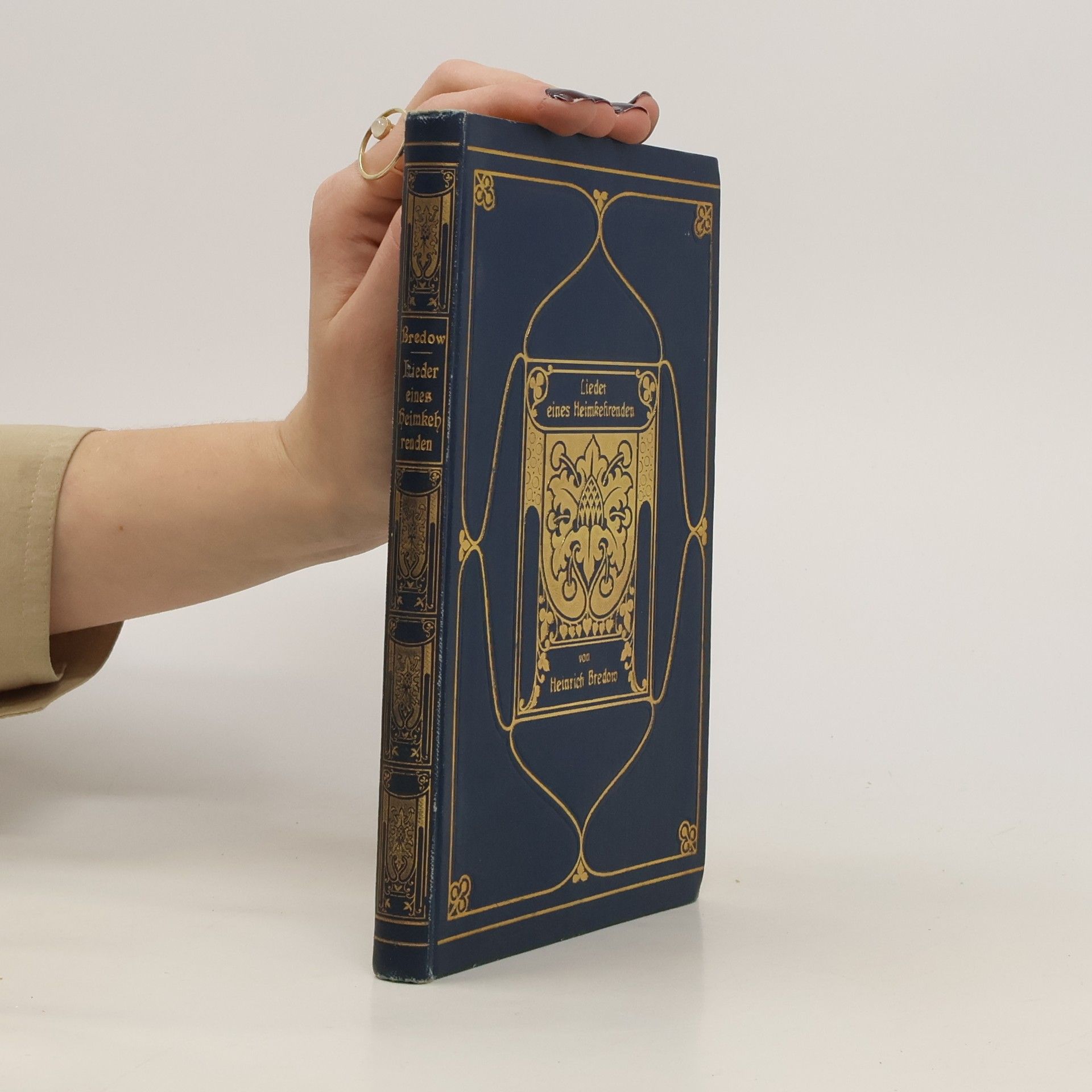 Heinrich Bredow Lieder eines Heimkehrenden