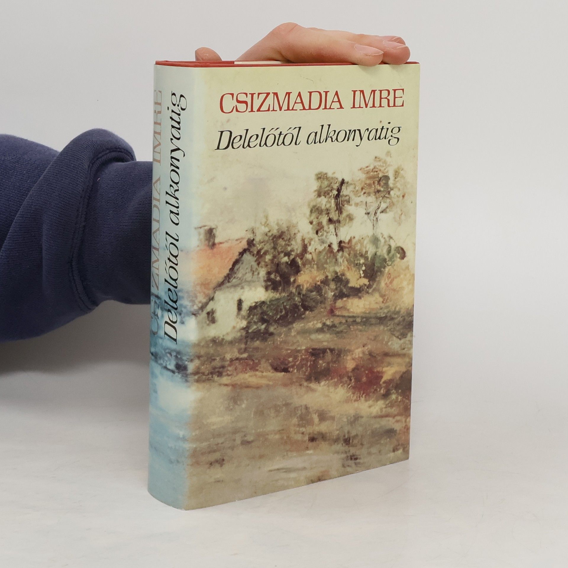 Imre Csizmadia Delelőtől alkonyatig