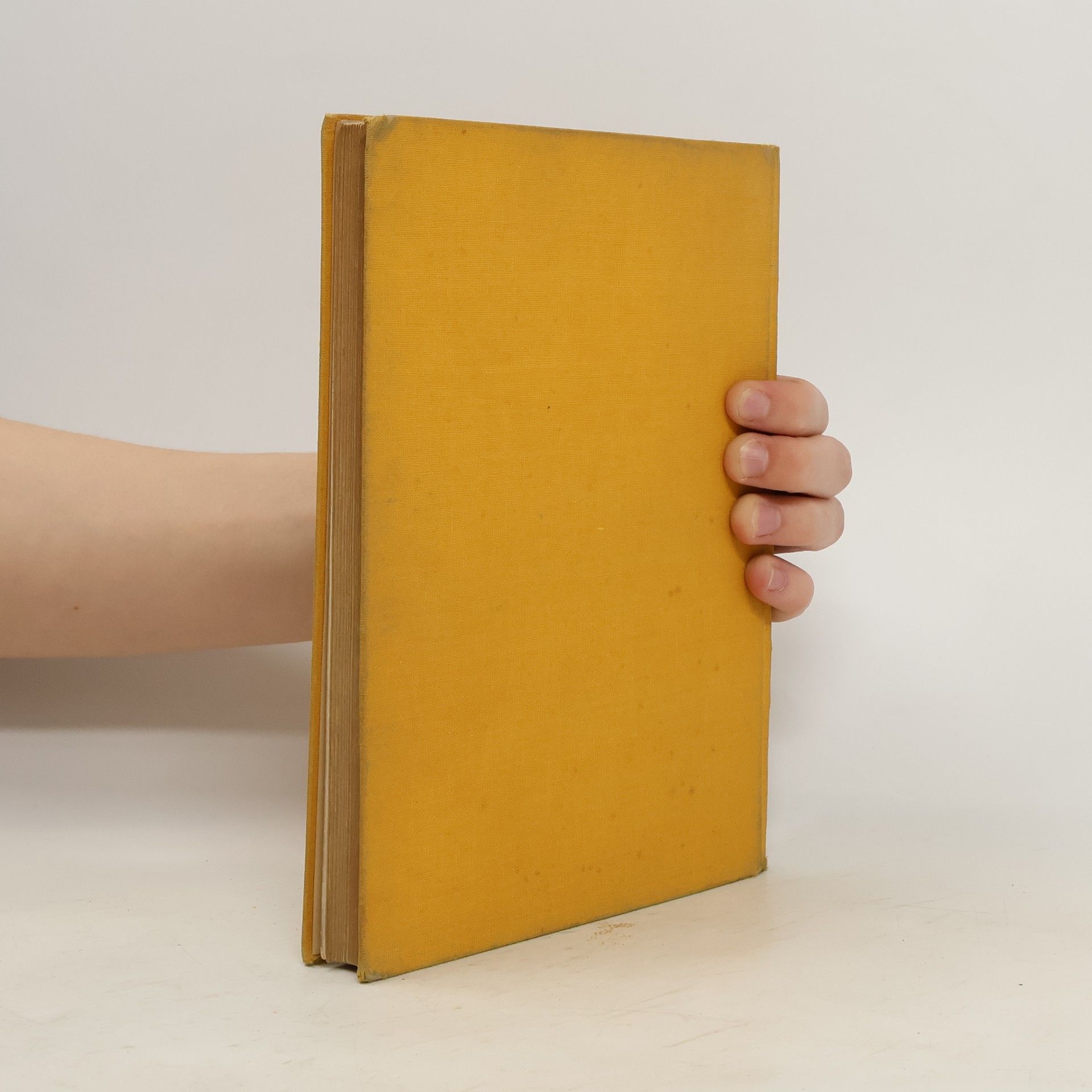 kolektiv Leitfaden der Kunstgeschichte