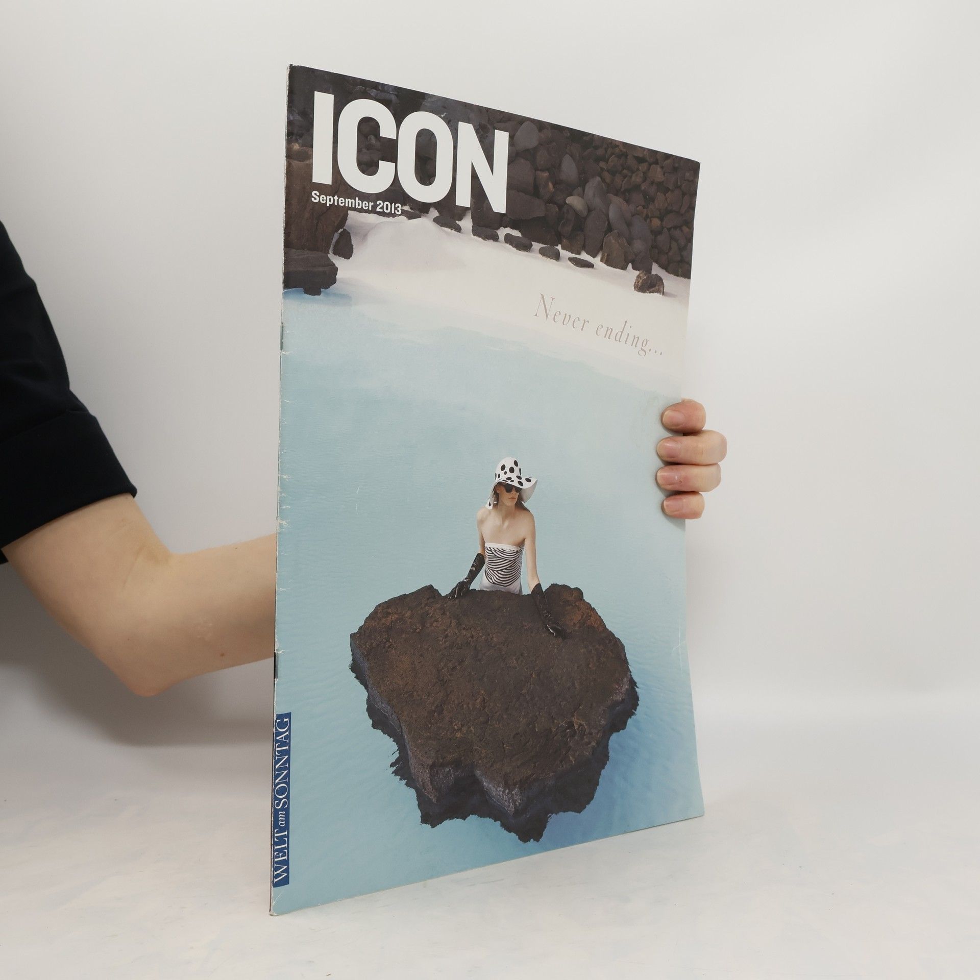 Autorenkollektiv Icon 9/2013