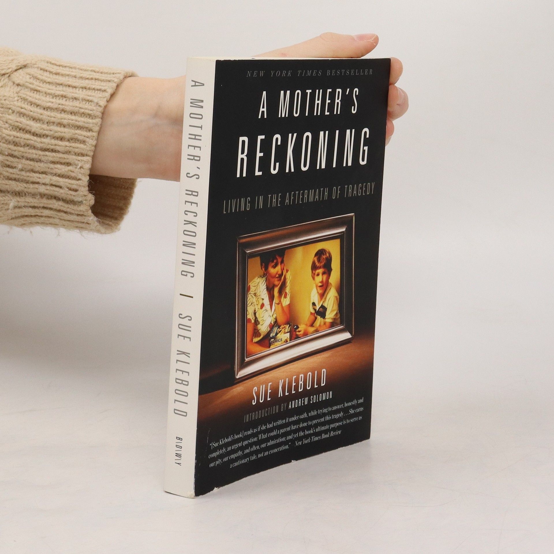 Sue Klebold A Mother's Reckoning