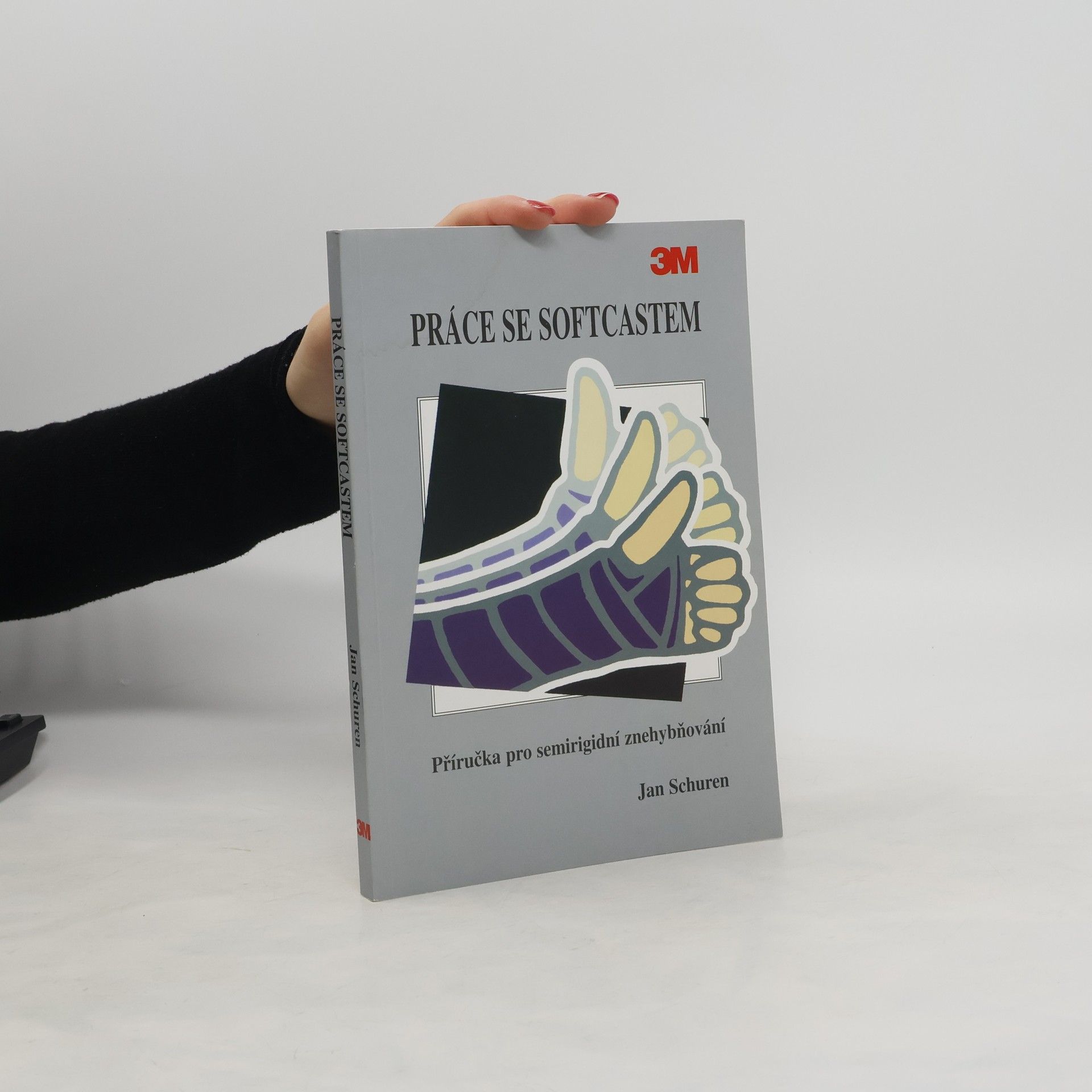 Jan Schuren Práce se SoftCastem