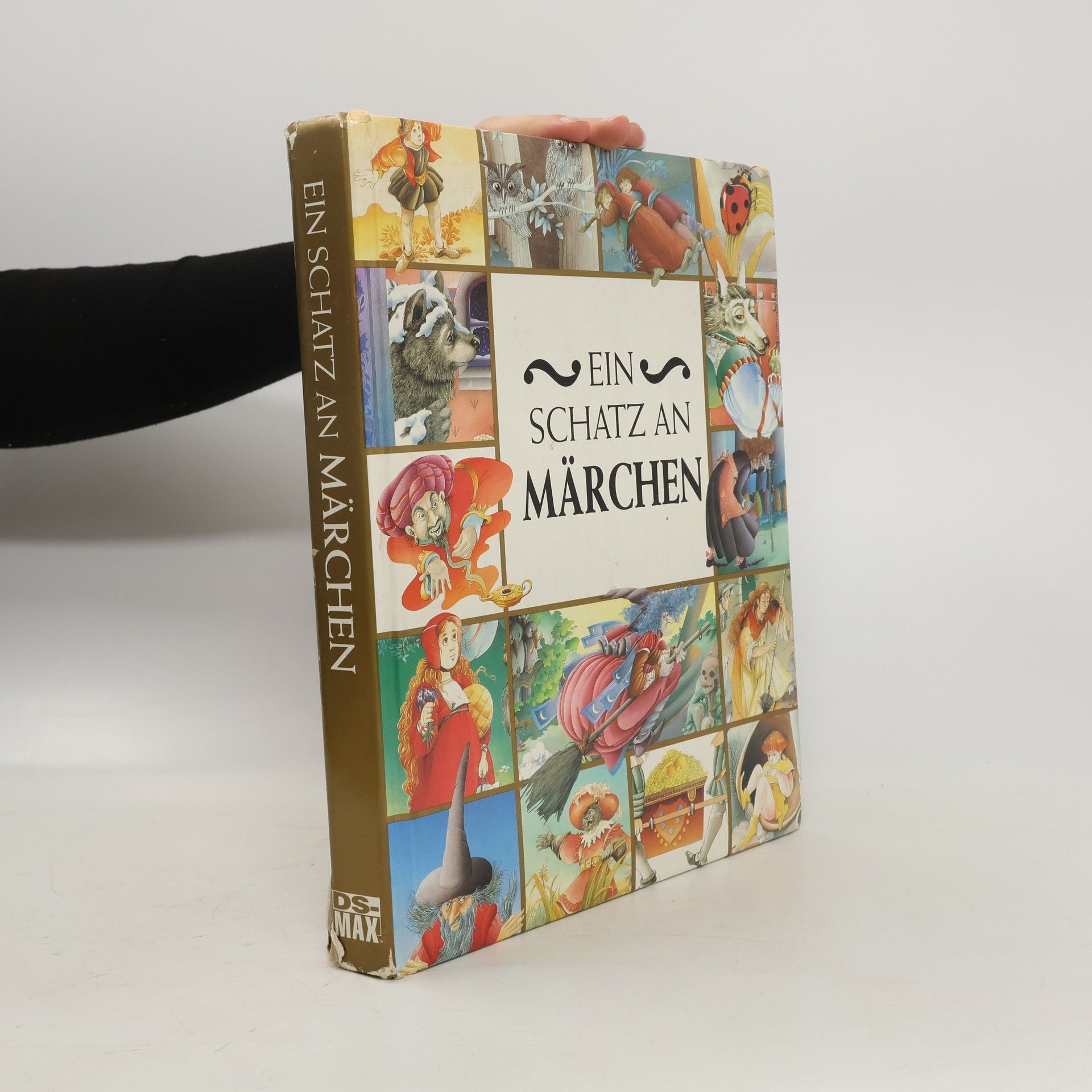 Kolektiv autorů Ein Schatz an Märchen