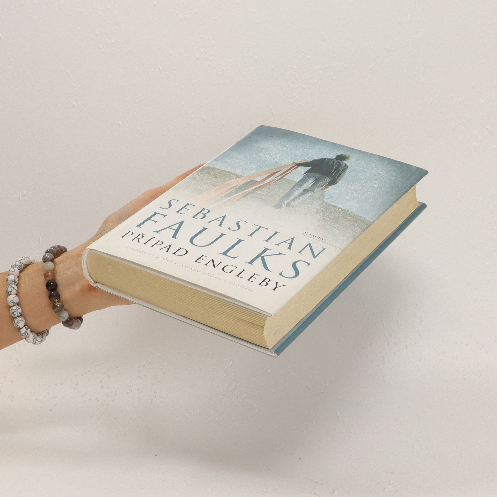 Sebastian Faulks Případ Engleby