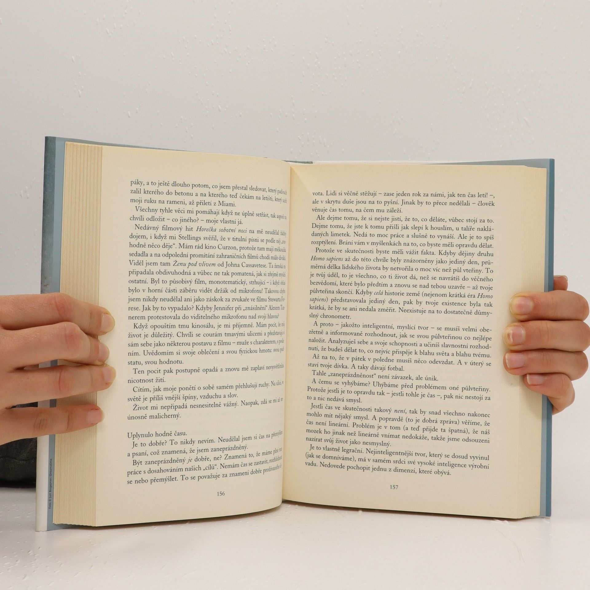 Sebastian Faulks Případ Engleby