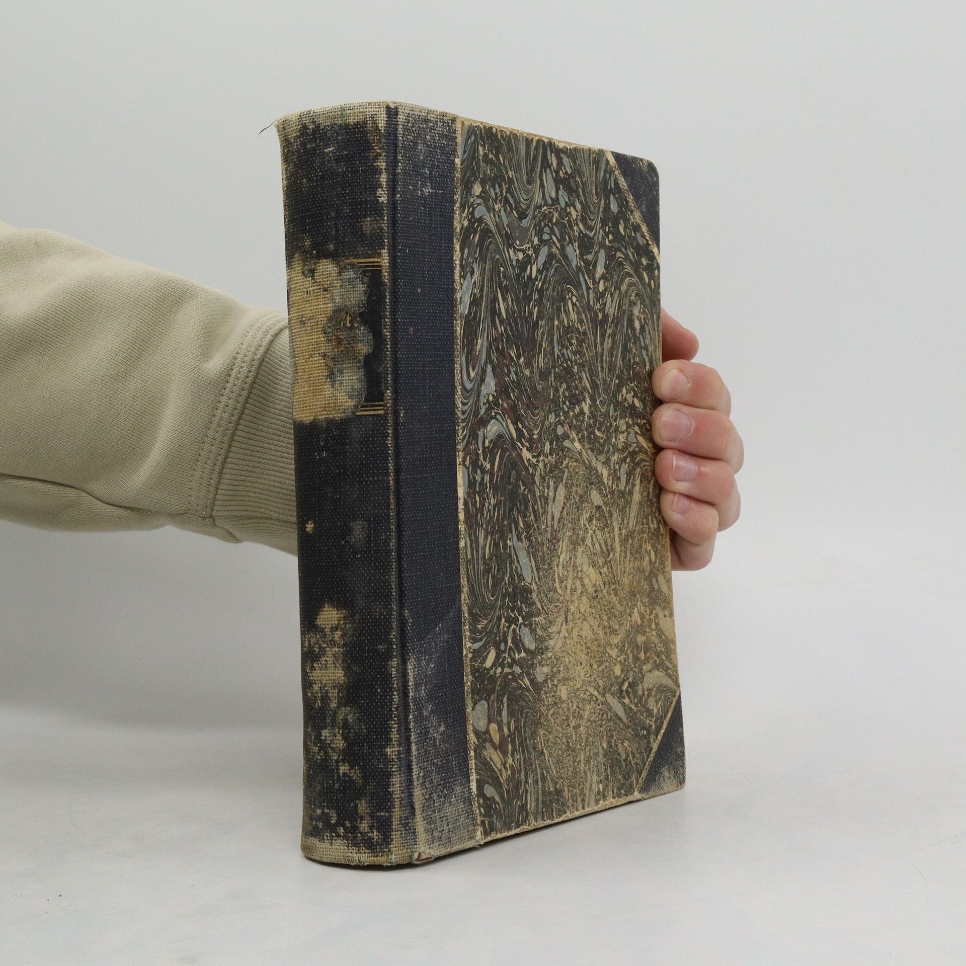 Geschichte von Florenz. Band II.