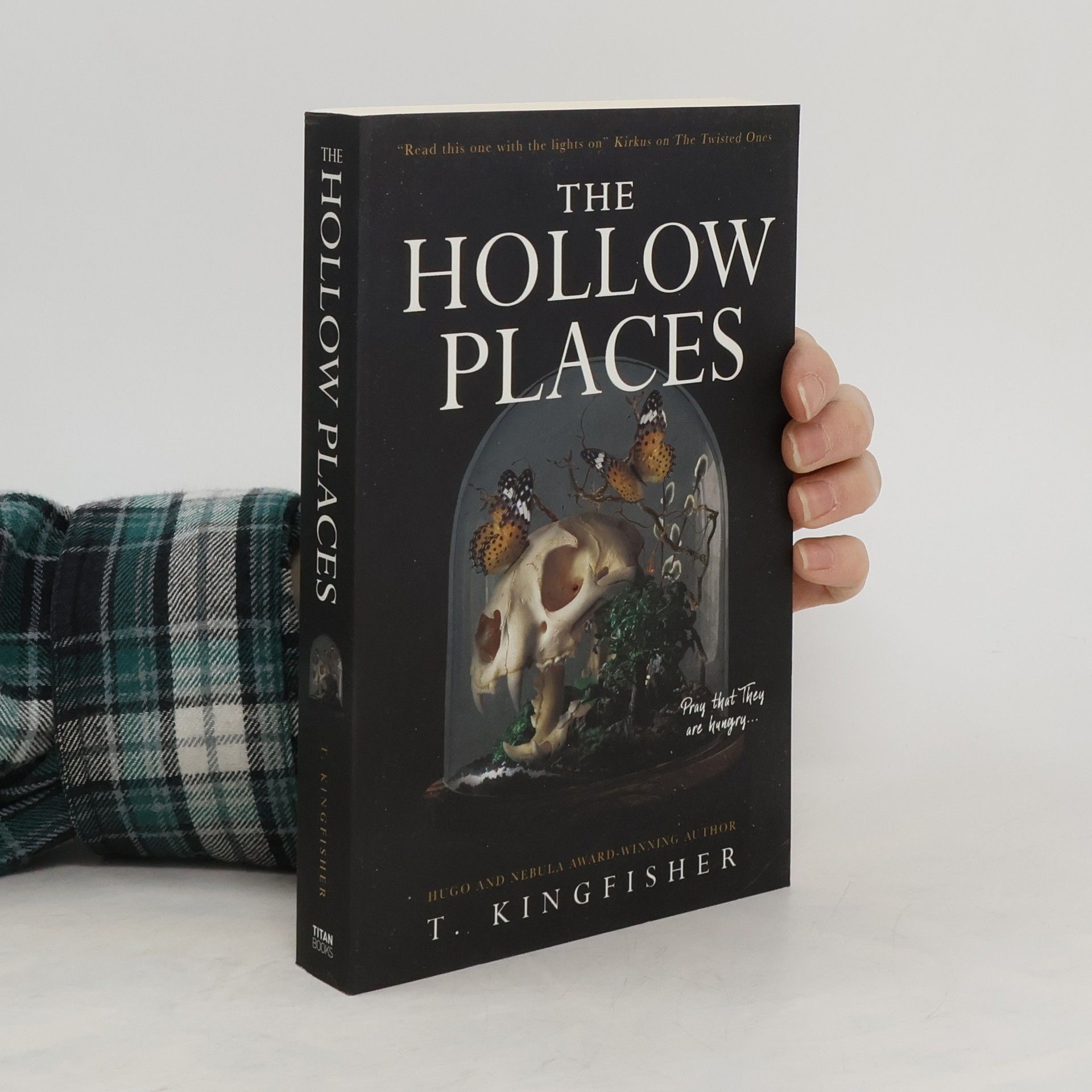 T. Kingfisher The Hollow Places