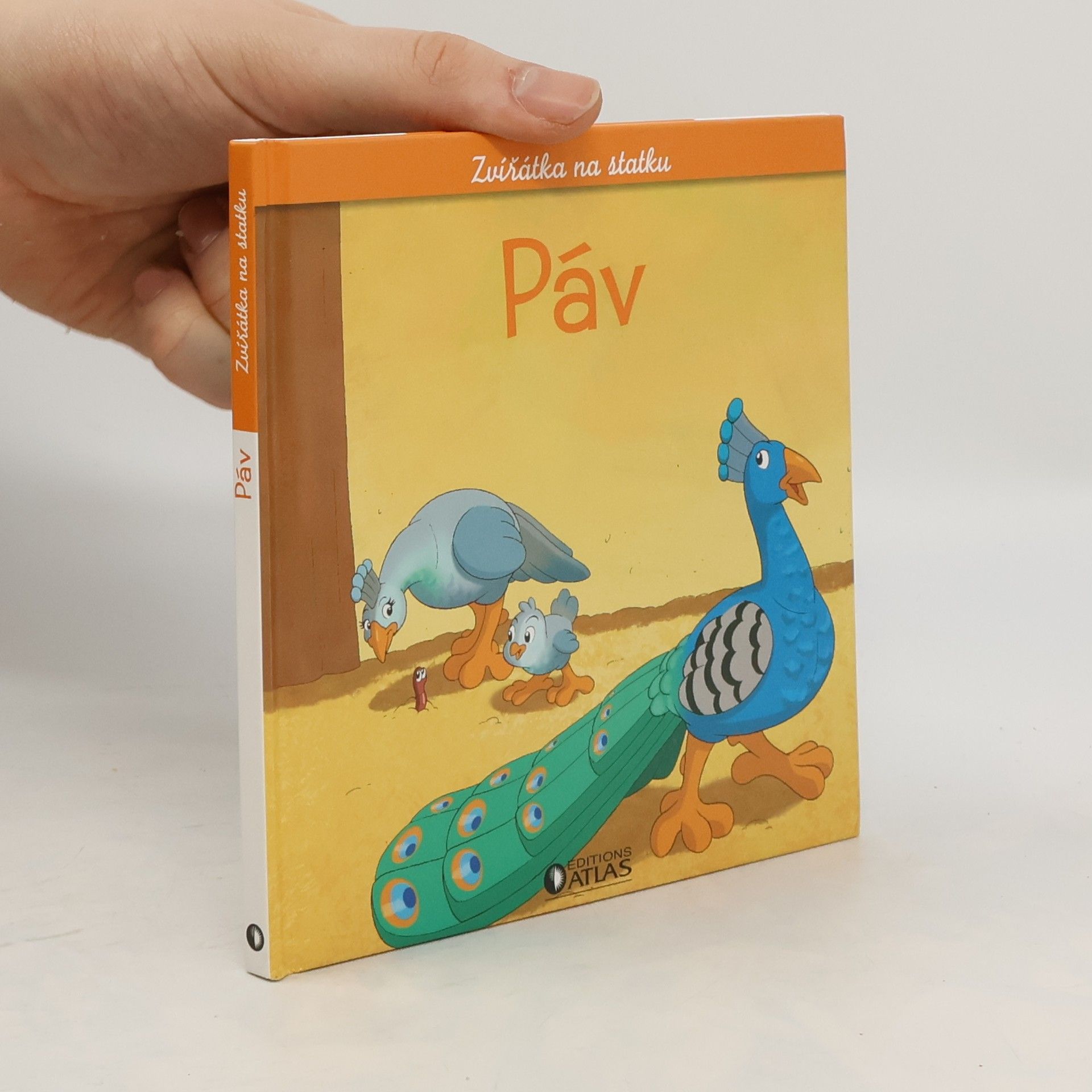 Kolektiv autorů Zvířátka na statku. Páv