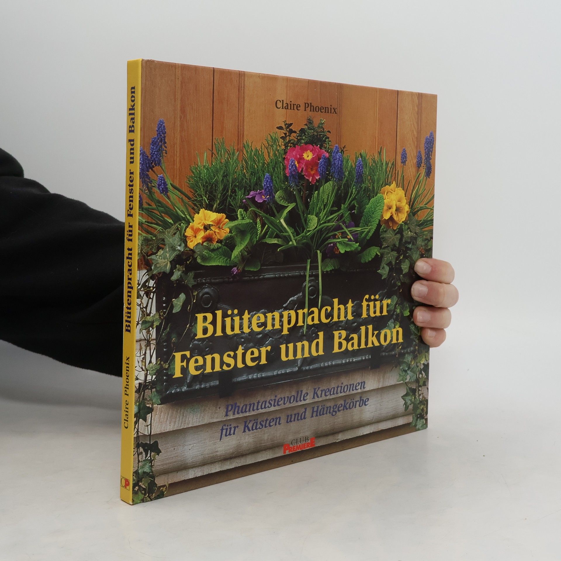 Blütenpracht für Fenster und Balkon