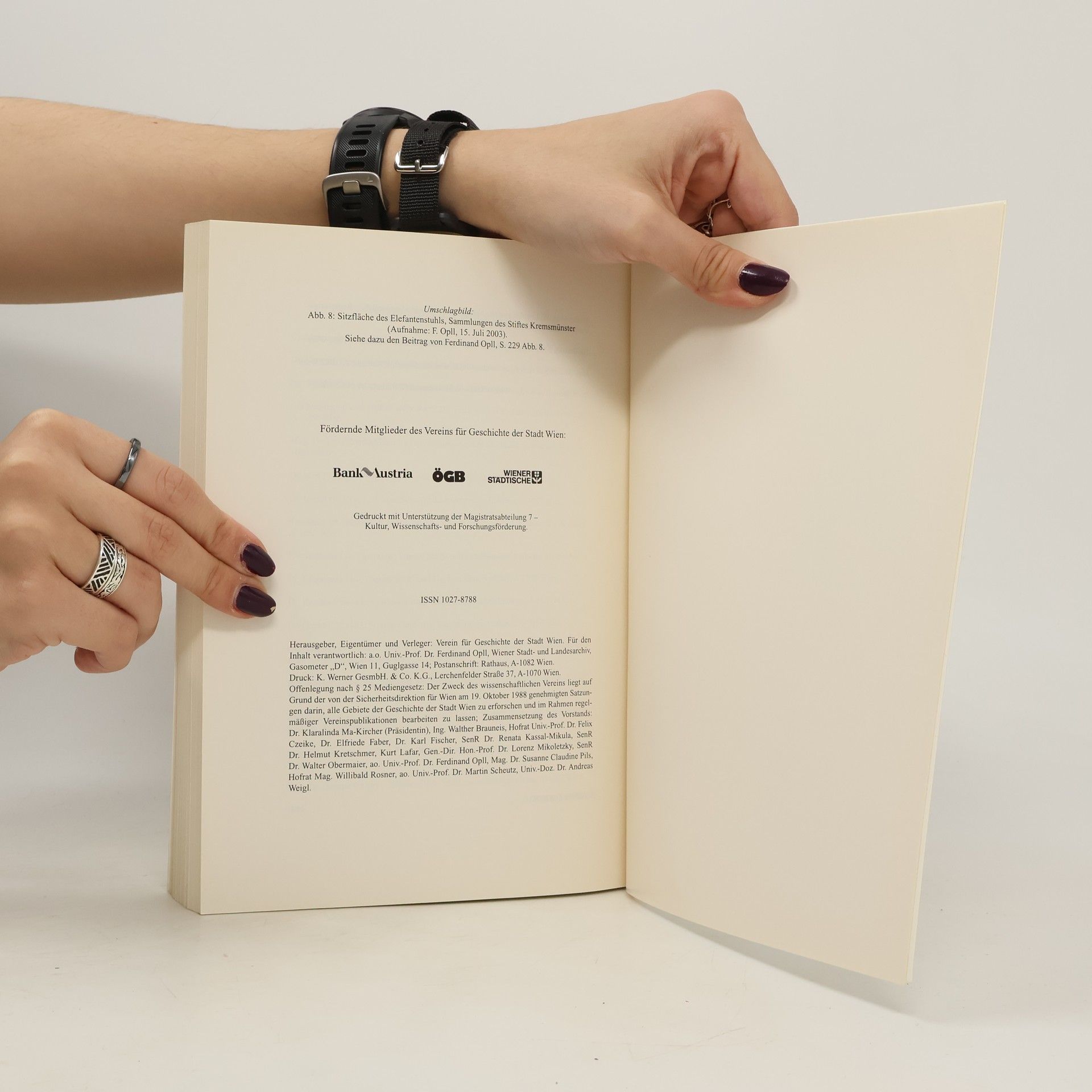 kolektiv Jahrbuch des Vereins für Geschichte der Stadt Wien 60