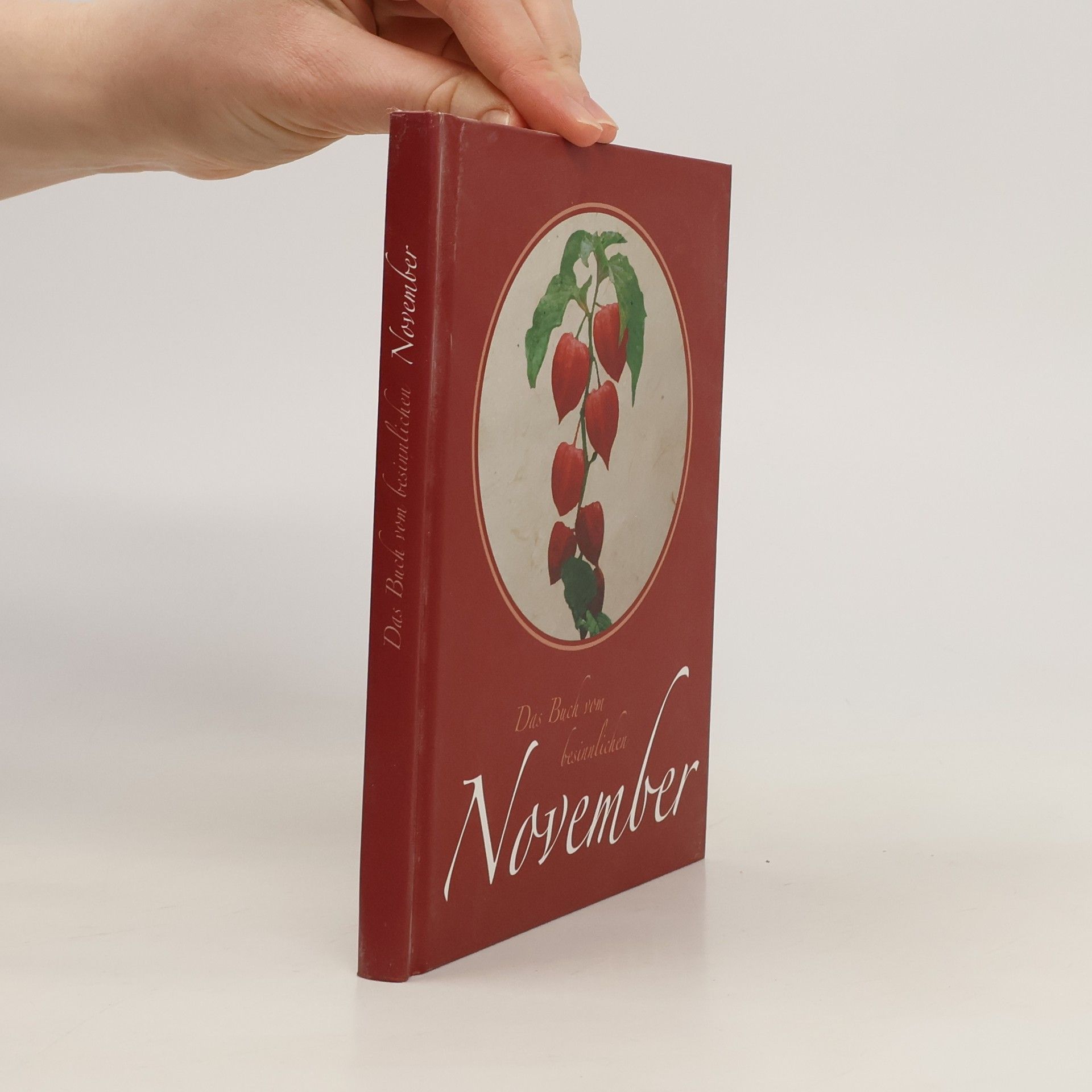 kolektiv Das Buch vom besinnlicken November