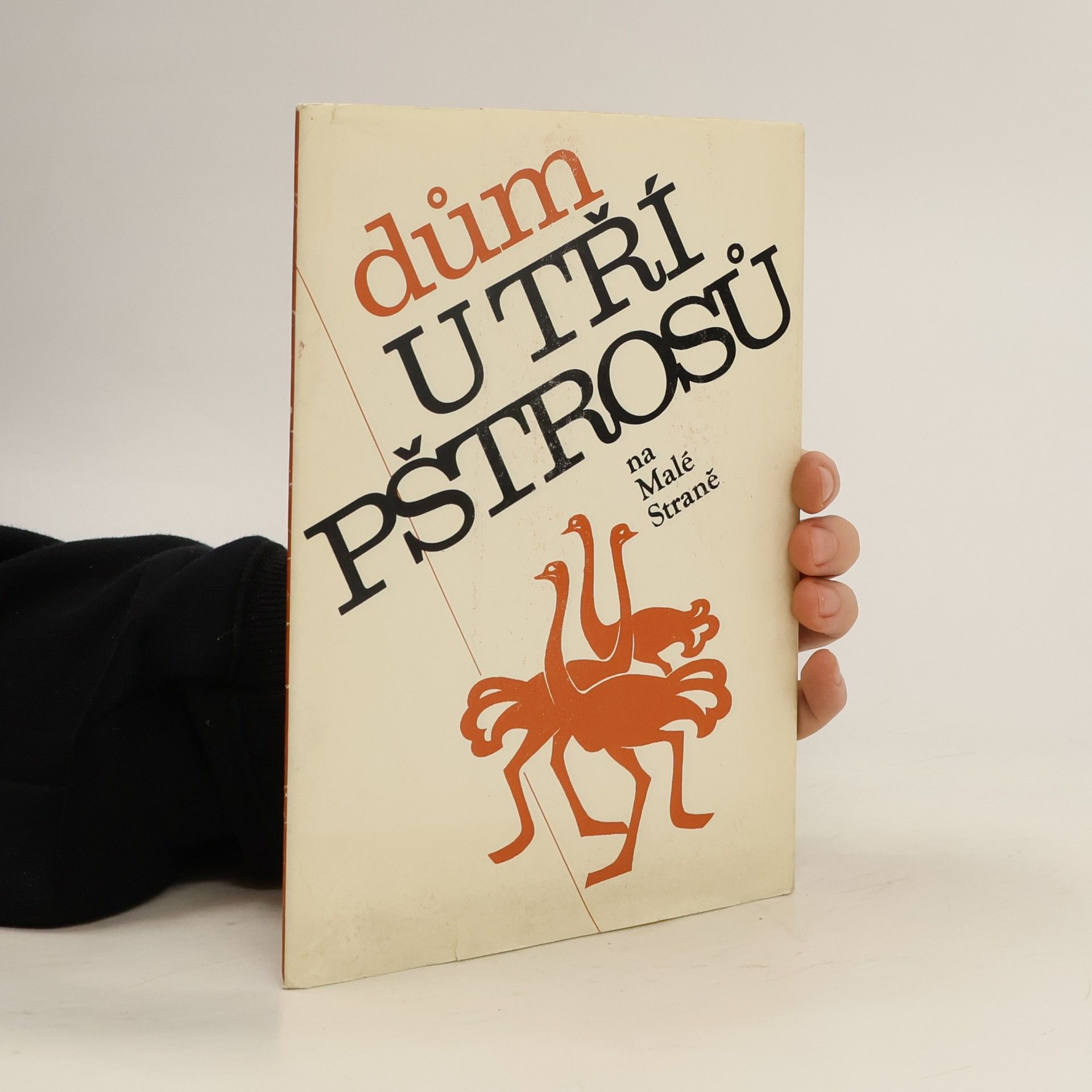 Kolektiv autorů Dům u tří pštrosů