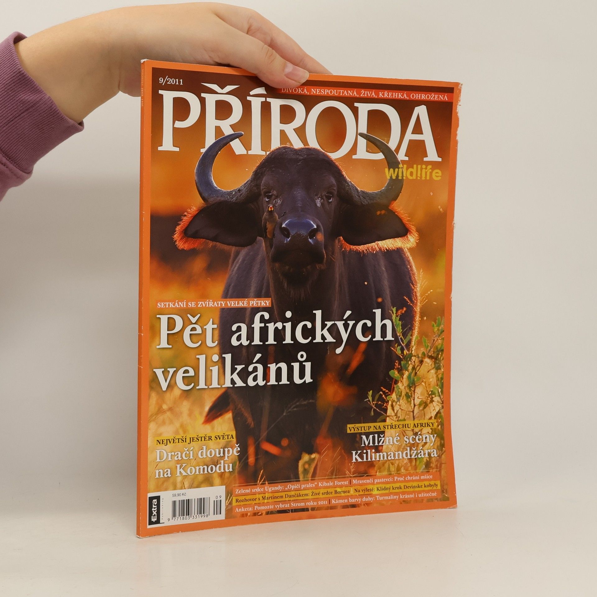Collectif d'auteurs Příroda. Pět afrických velikánů 9/2011