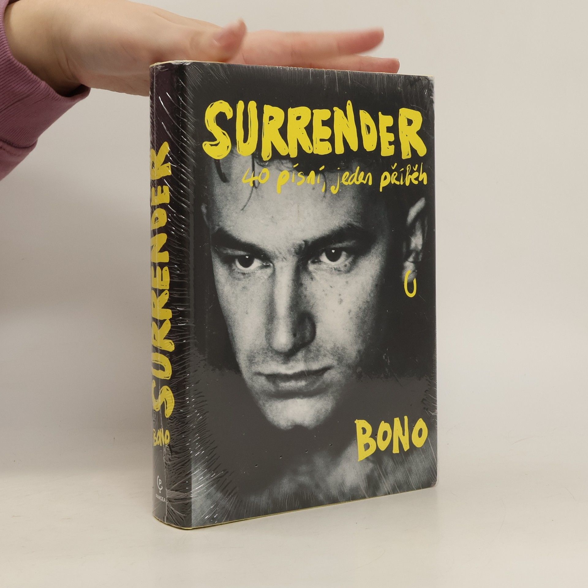 Bono Surrender : 40 písní, jeden příběh