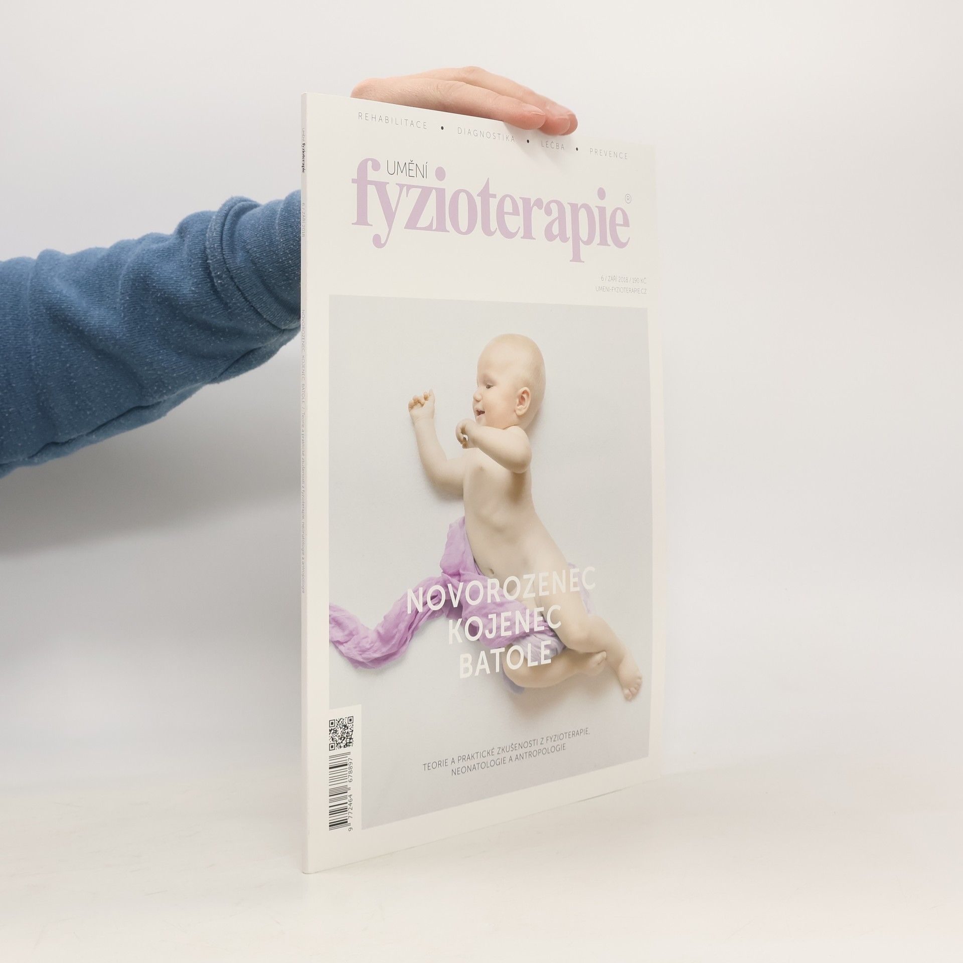 Kolektív autorov Umění fyzioterapie