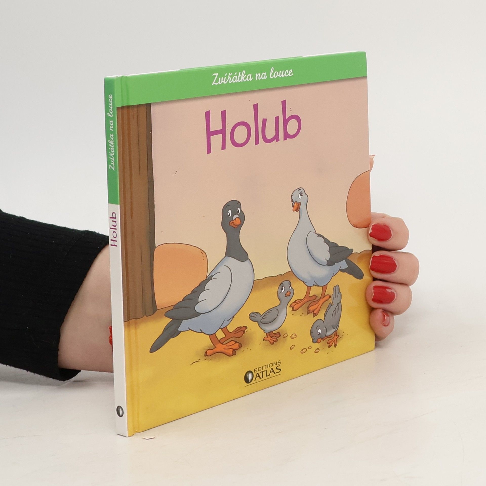 Kolektiv autorů Zvířátka na louce. Holub