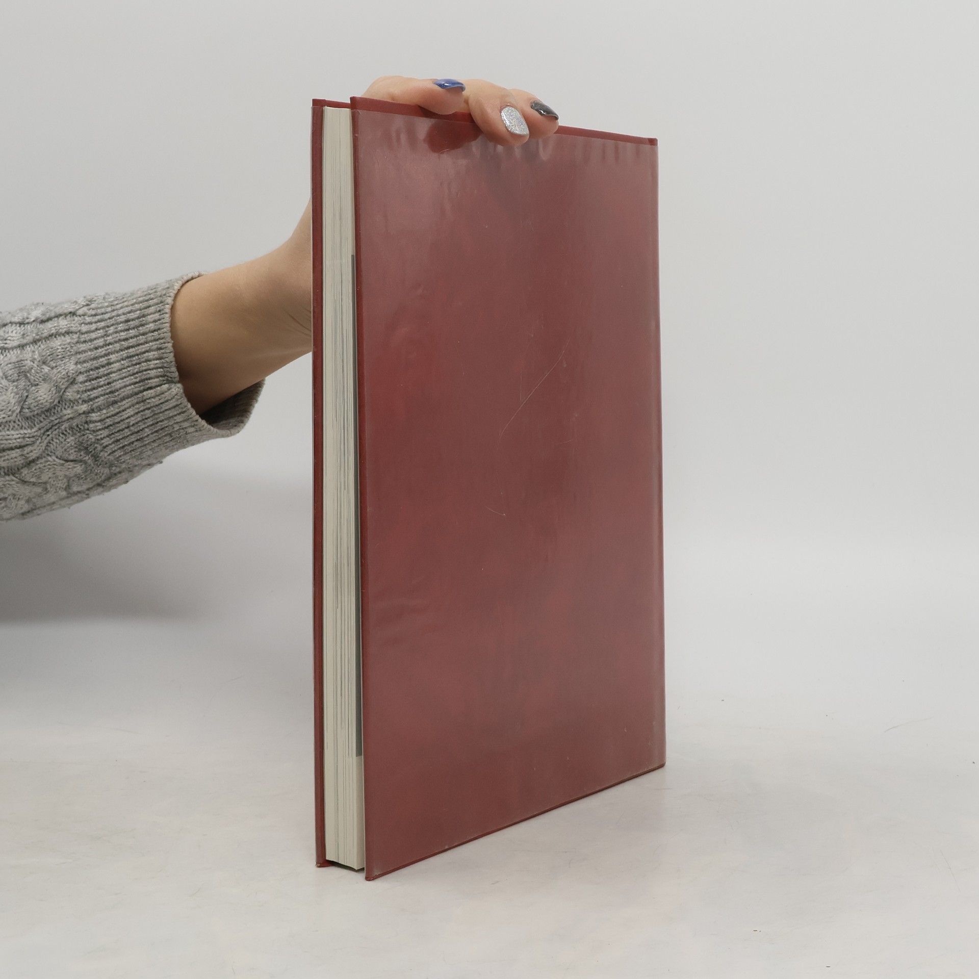 Autorenkollektiv Die Barmherzigen Brüder in Österreich 1918-1977