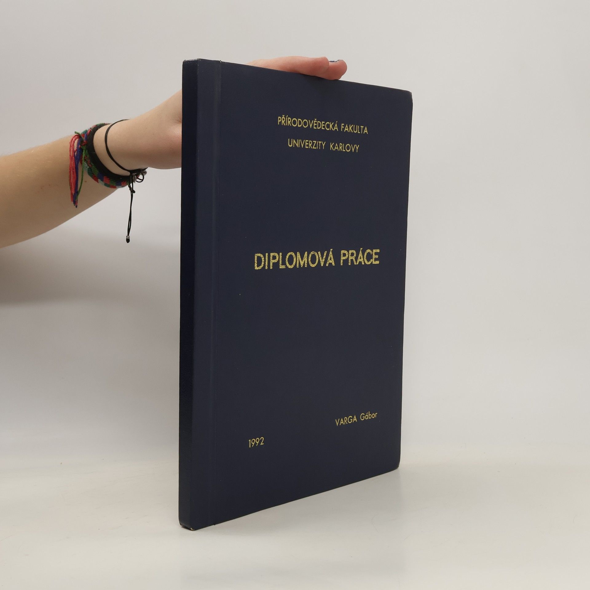 Verga Gábor Diplomová práce