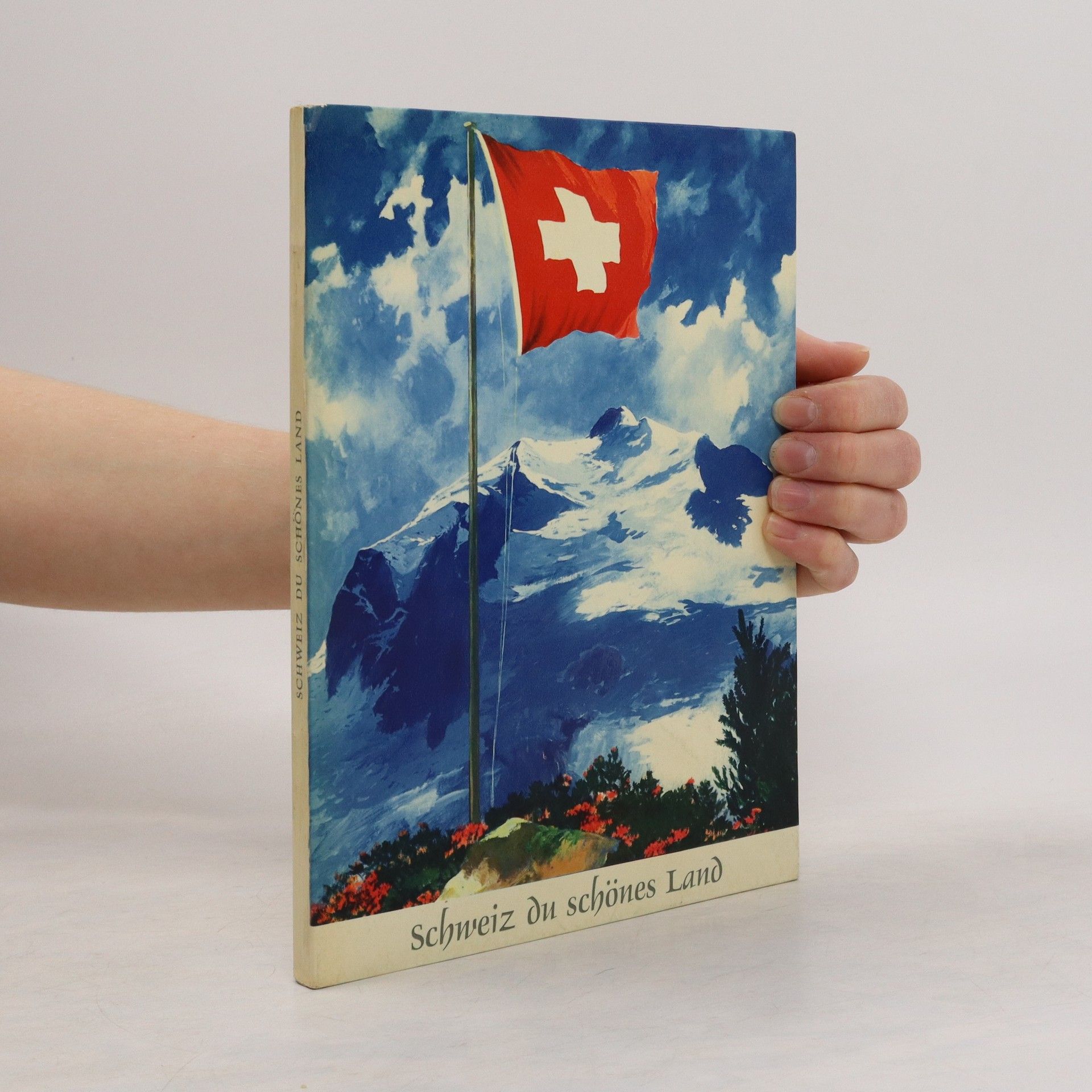 Autorenkollektiv Schweiz du schönes Land