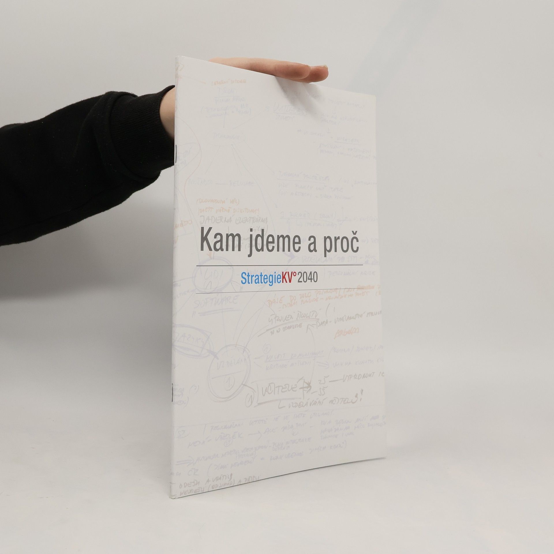 Autorenkollektiv Kam jdeme a proč