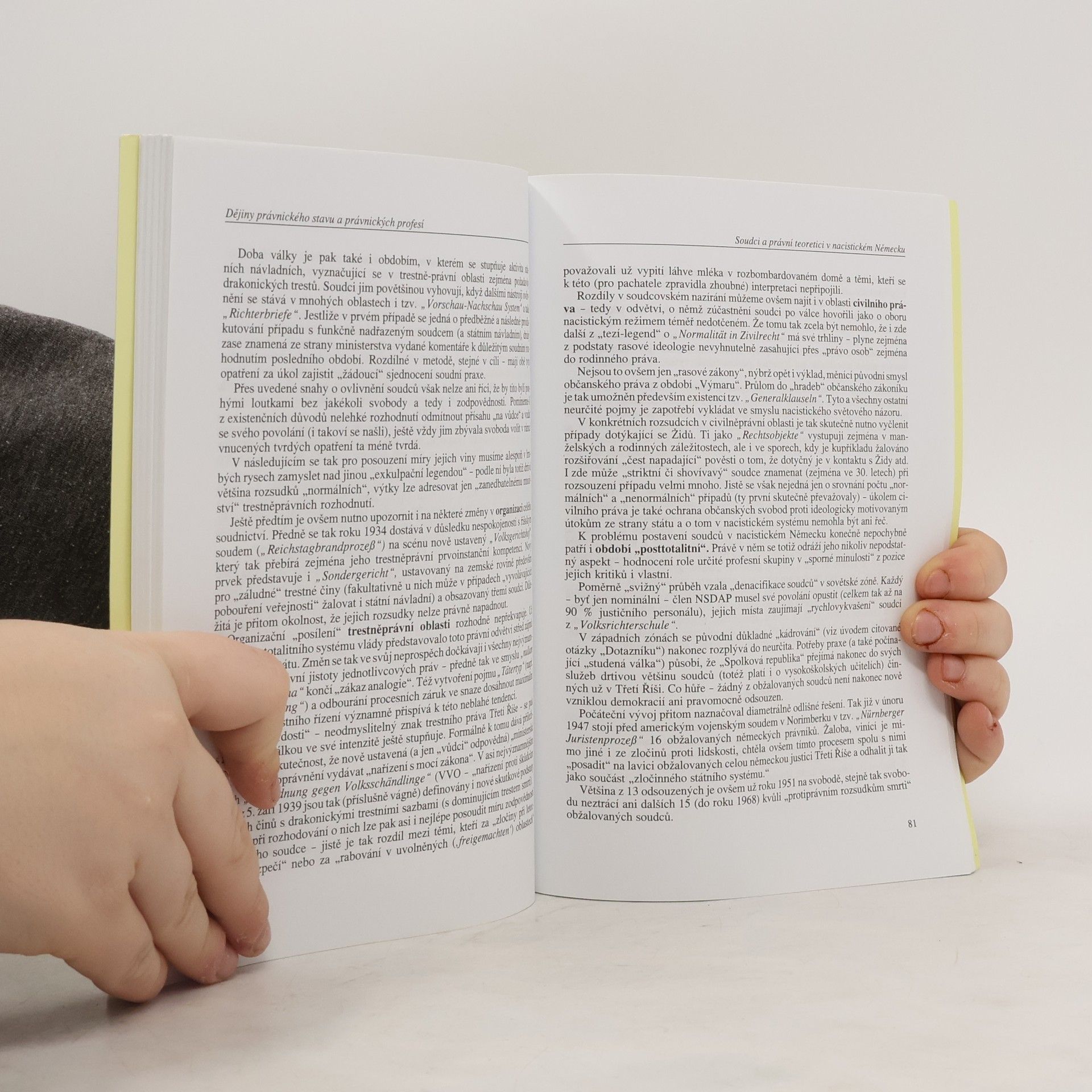 Autorenkollektiv Dějiny právnického stavu a právnických profesí