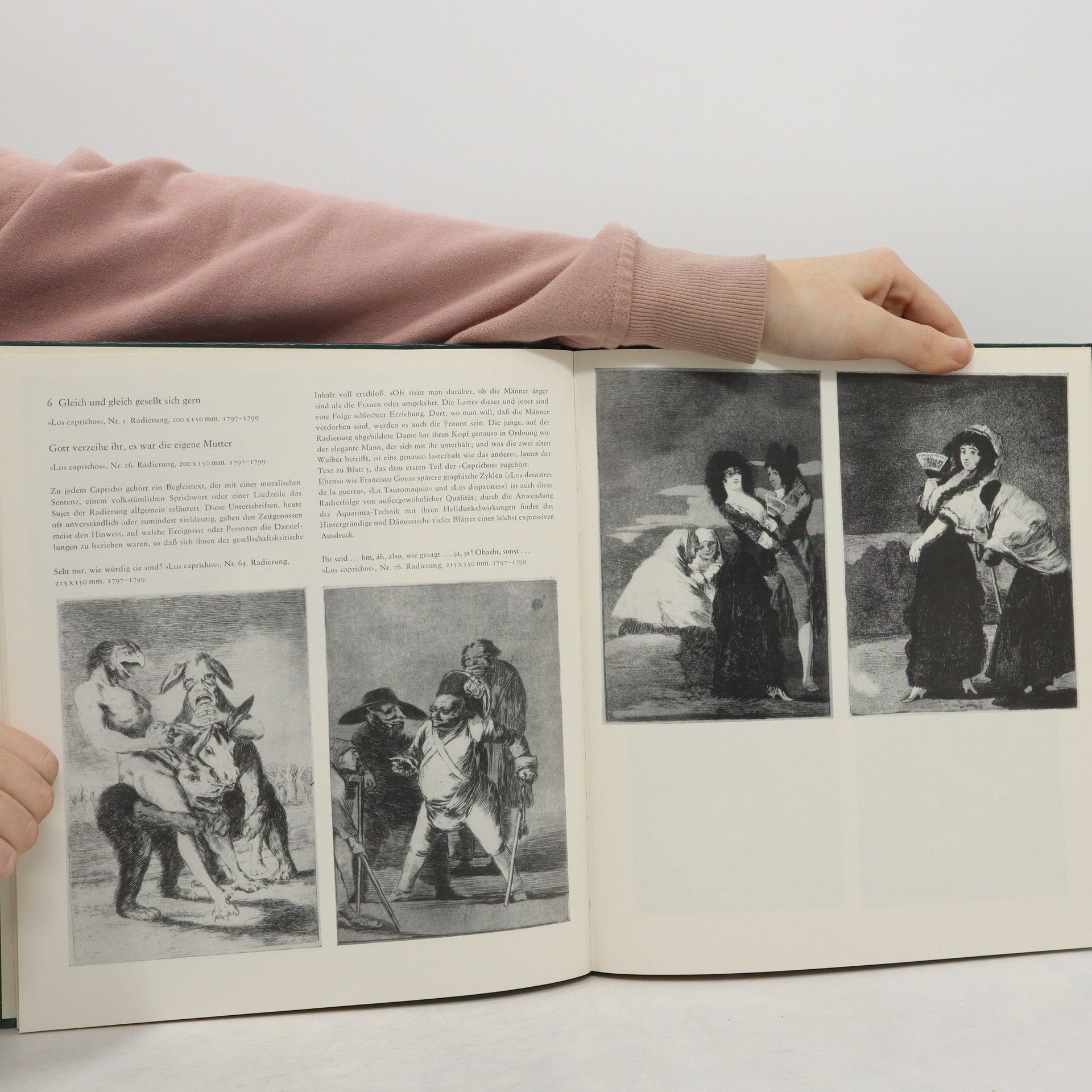 Various authors Francisco Goya