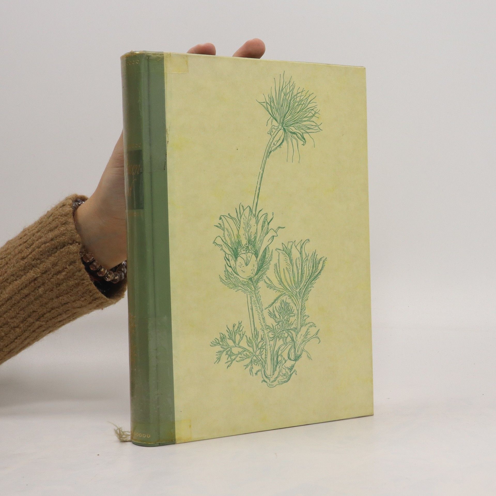 Autorenkollektiv Blumen-Fibel II