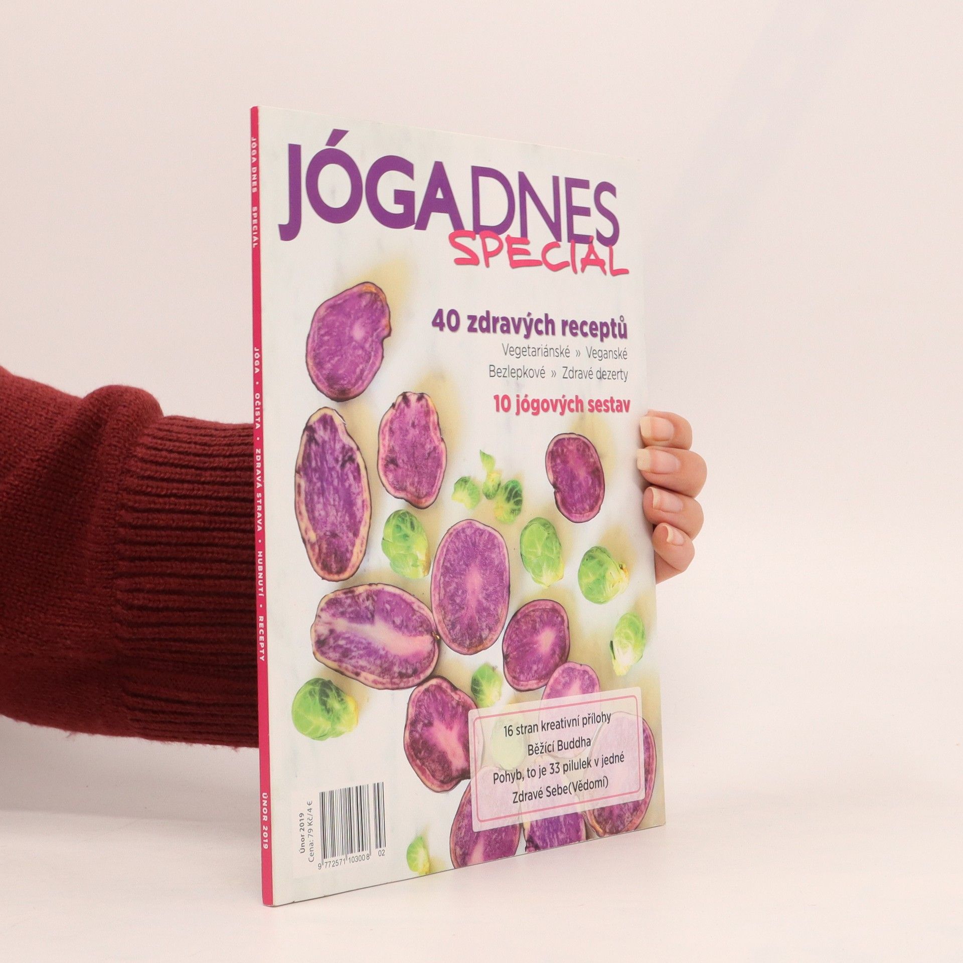 Auteurscollectief Jóga dnes speciál 2/2019