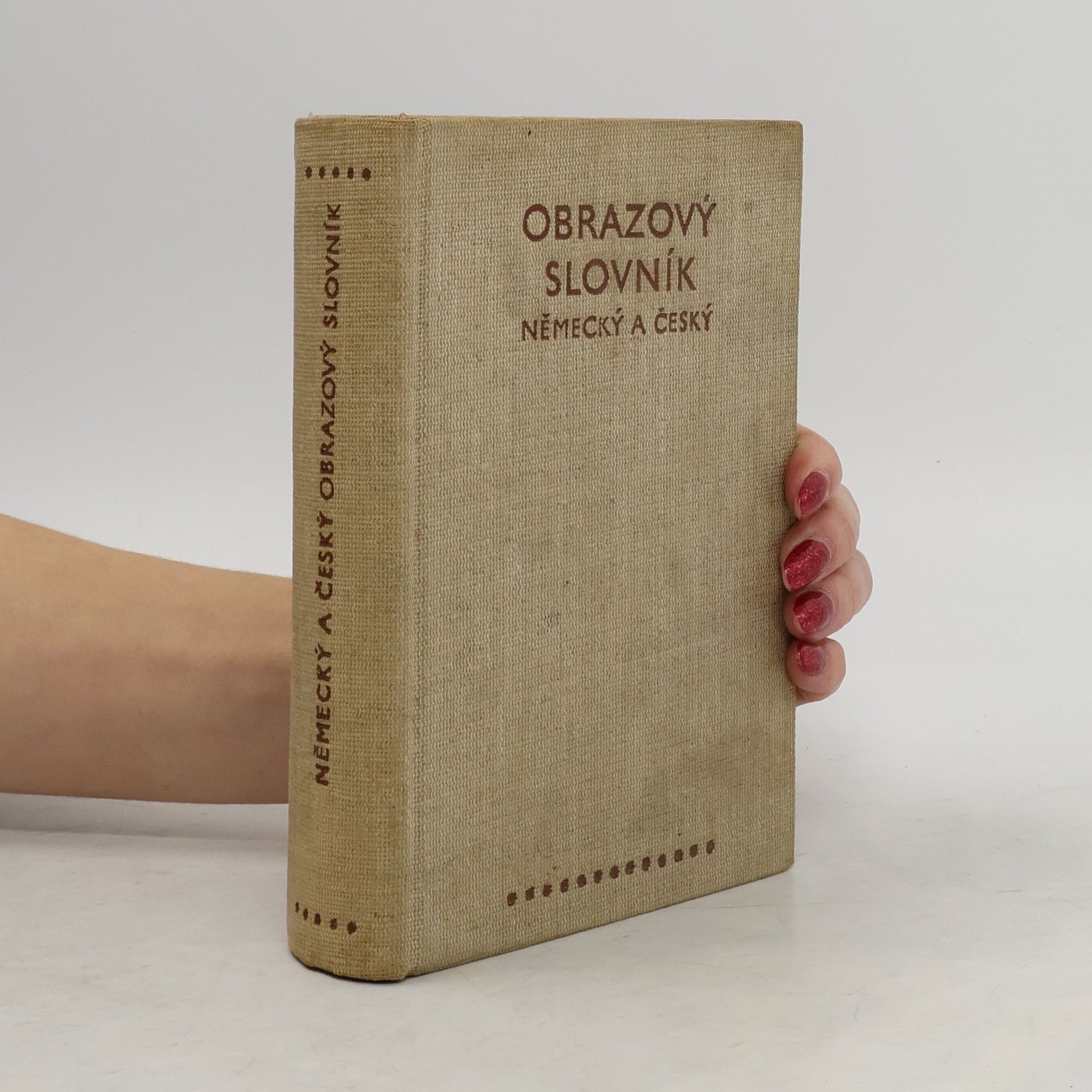 Kolektiv autorů Obrázkový slovník německý i český