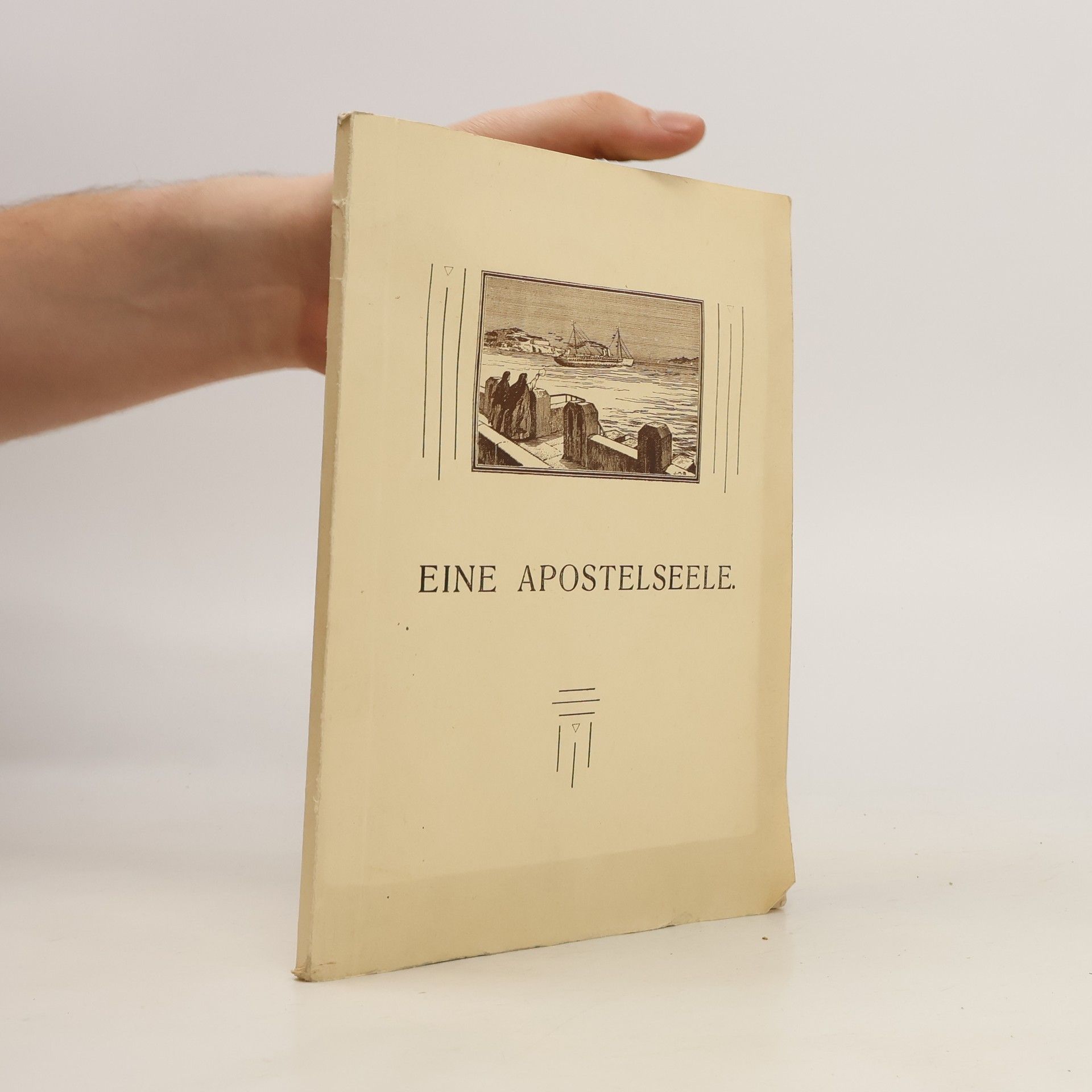 Autorenkollektiv Eine Apostelseele