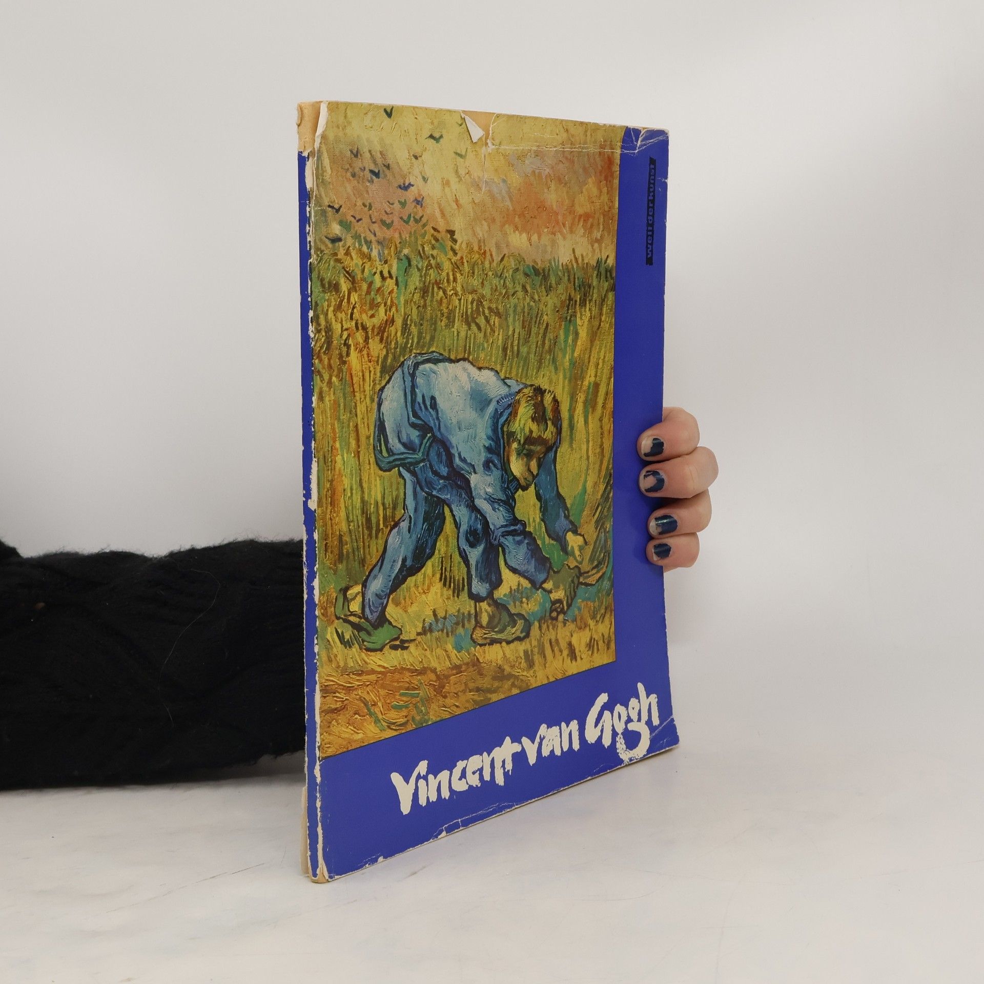 Autorenkollektiv Vincent van Gogh