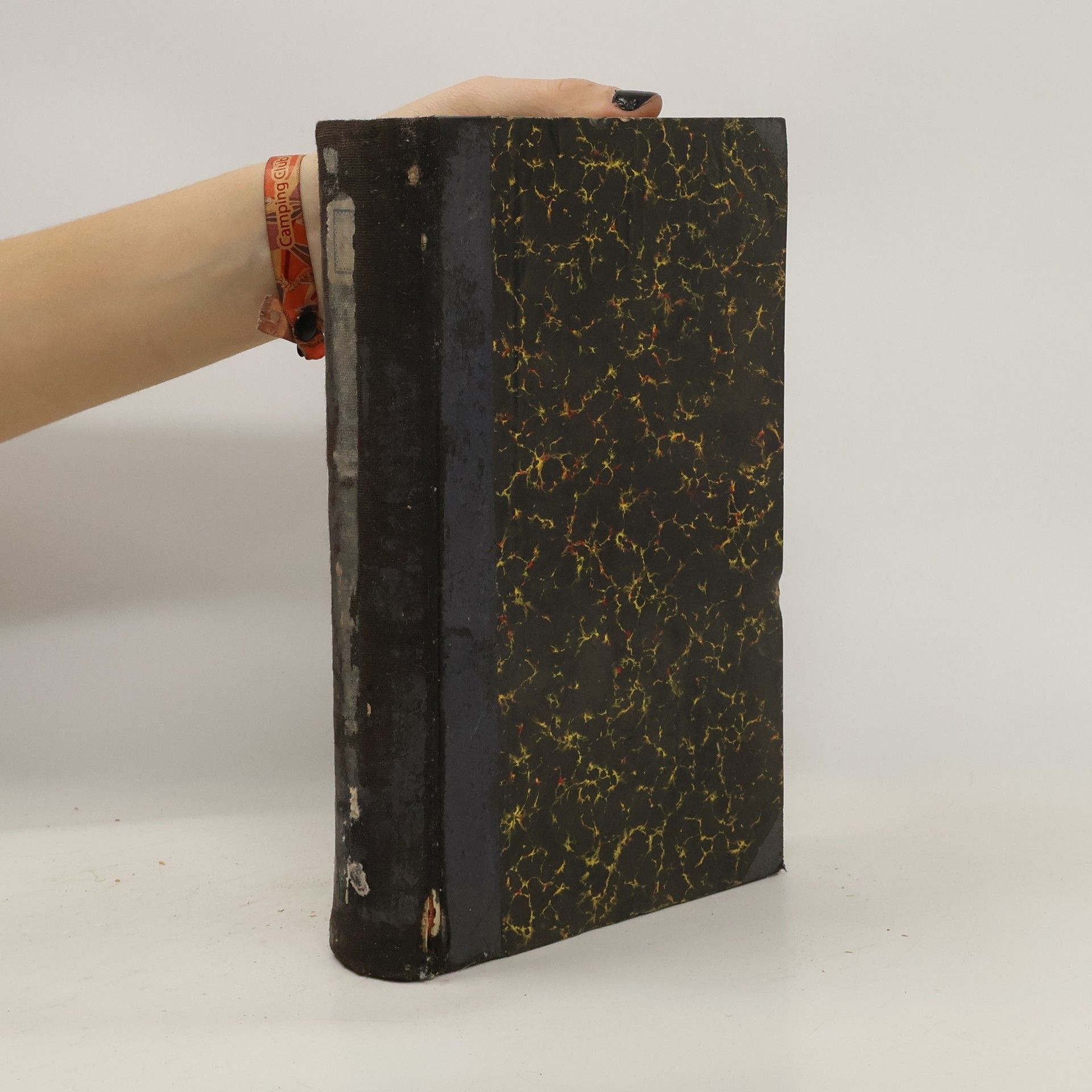 Collectif d'auteurs Časopis Musea Království Českého 1902