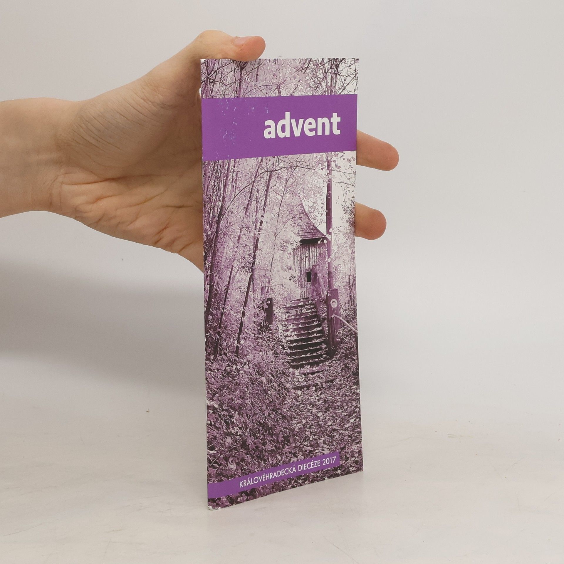 Kolektív autorov Advent. Královehradecká diecéze 2017