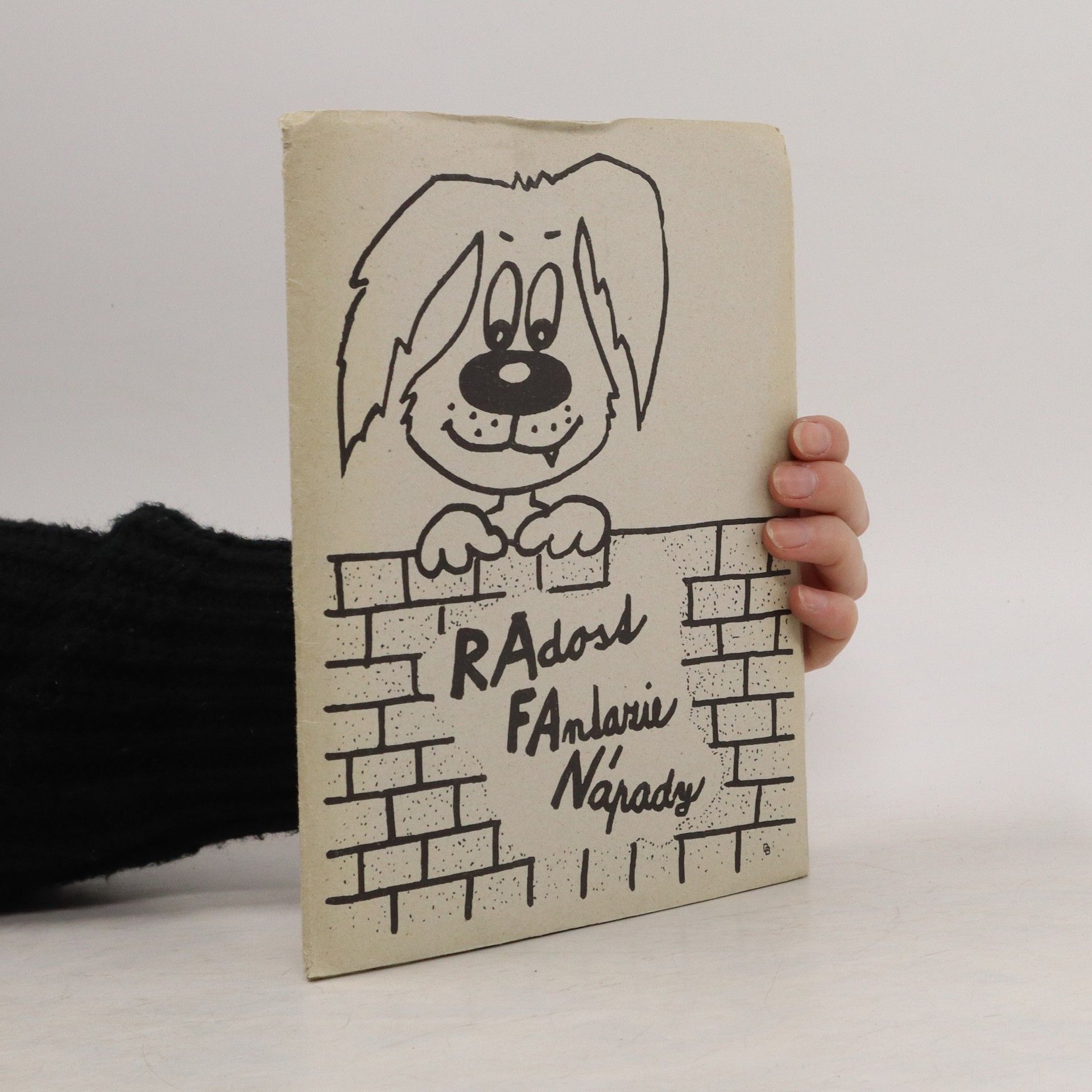 Kolektiv autorů Radost, fantazie, nápady