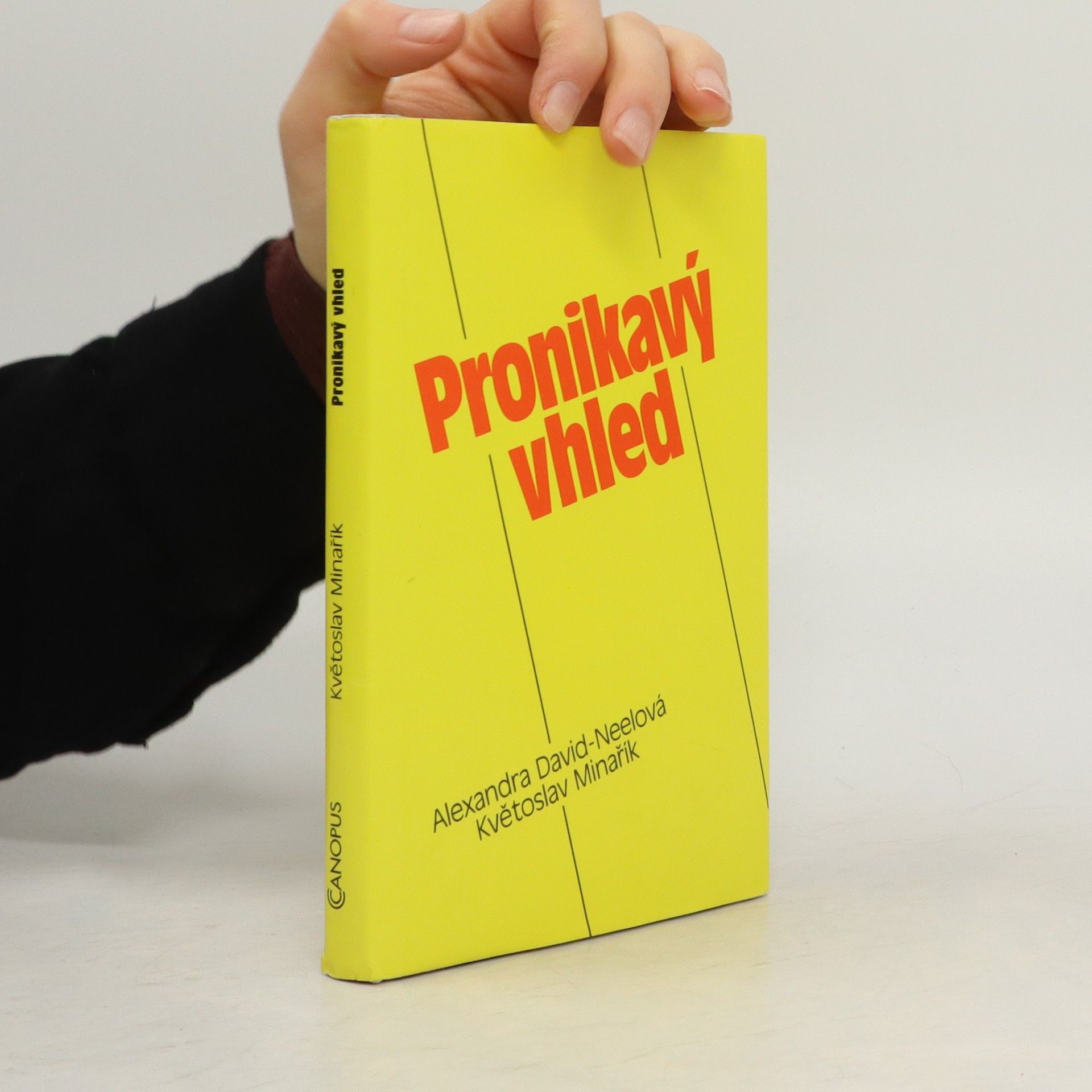 Květoslav Minařík Pronikavý vhled