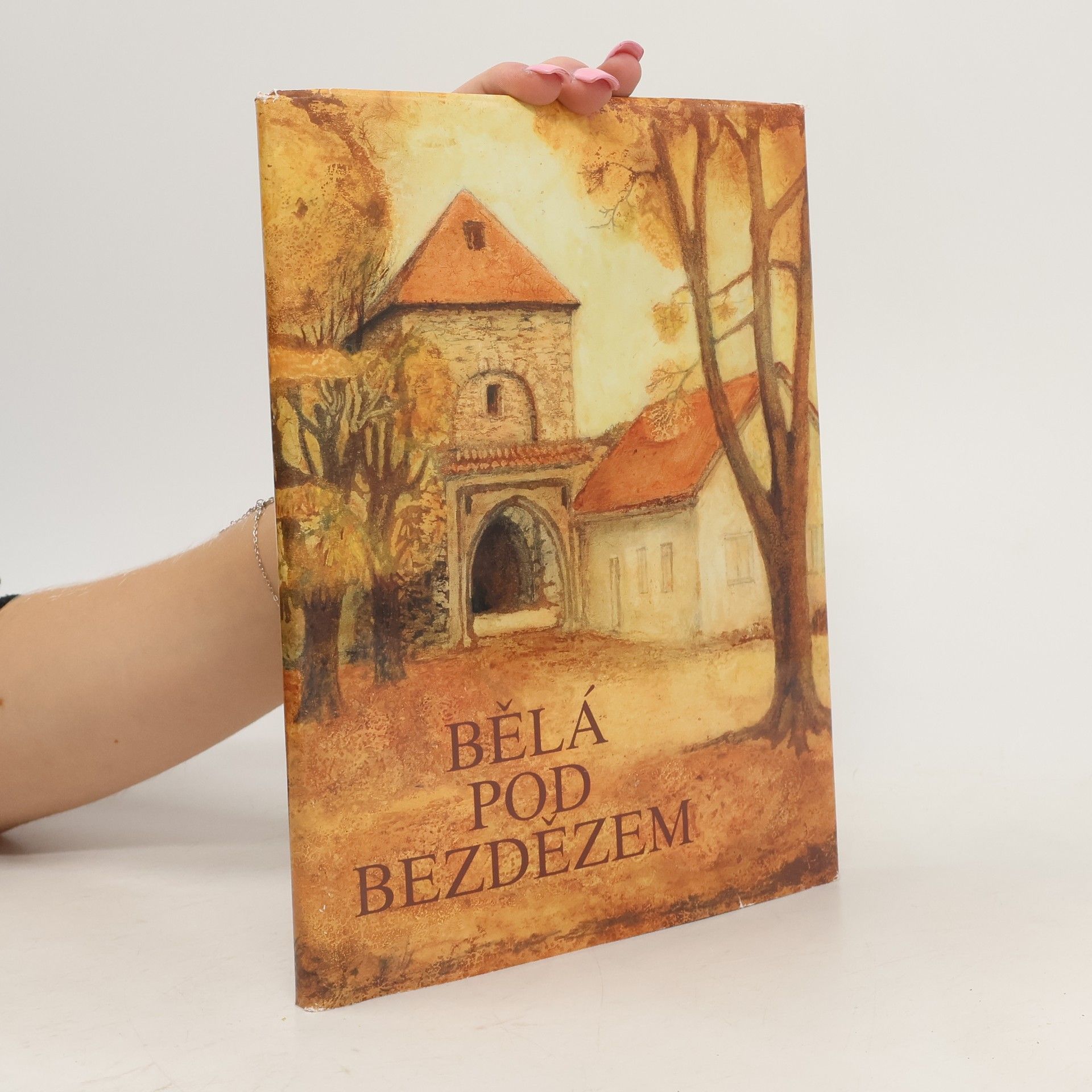 Kolektiv autorů Bělá pod Bezdězem