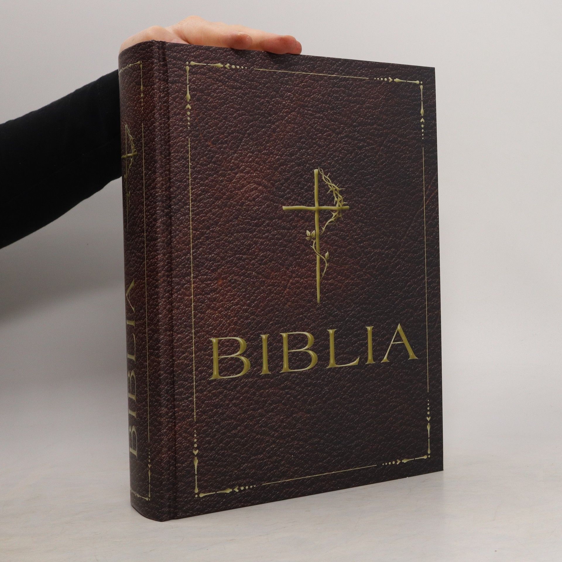 Kolektiv autorů Biblia