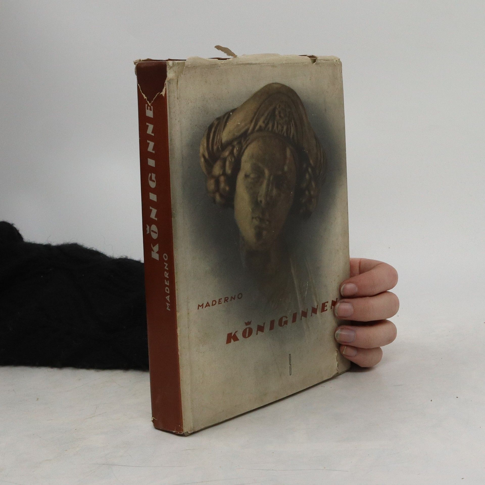 Autorenkollektiv Königinnen