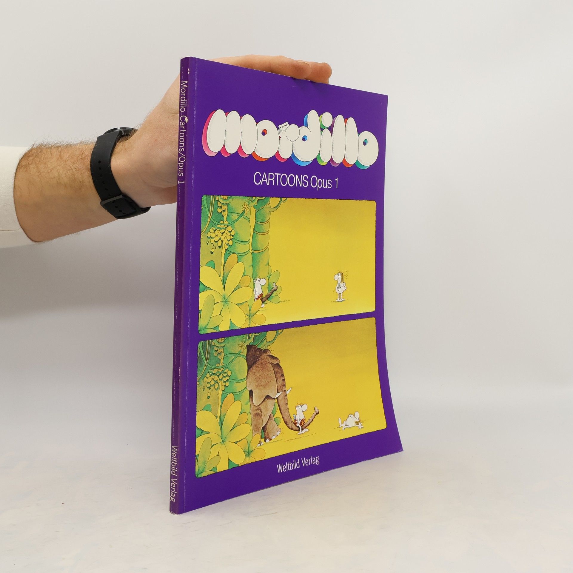 Guillermo Mordillo Variationen in Farbe und Chinatinte über das menschliche Wesen und andere atmosphärische Phänomene