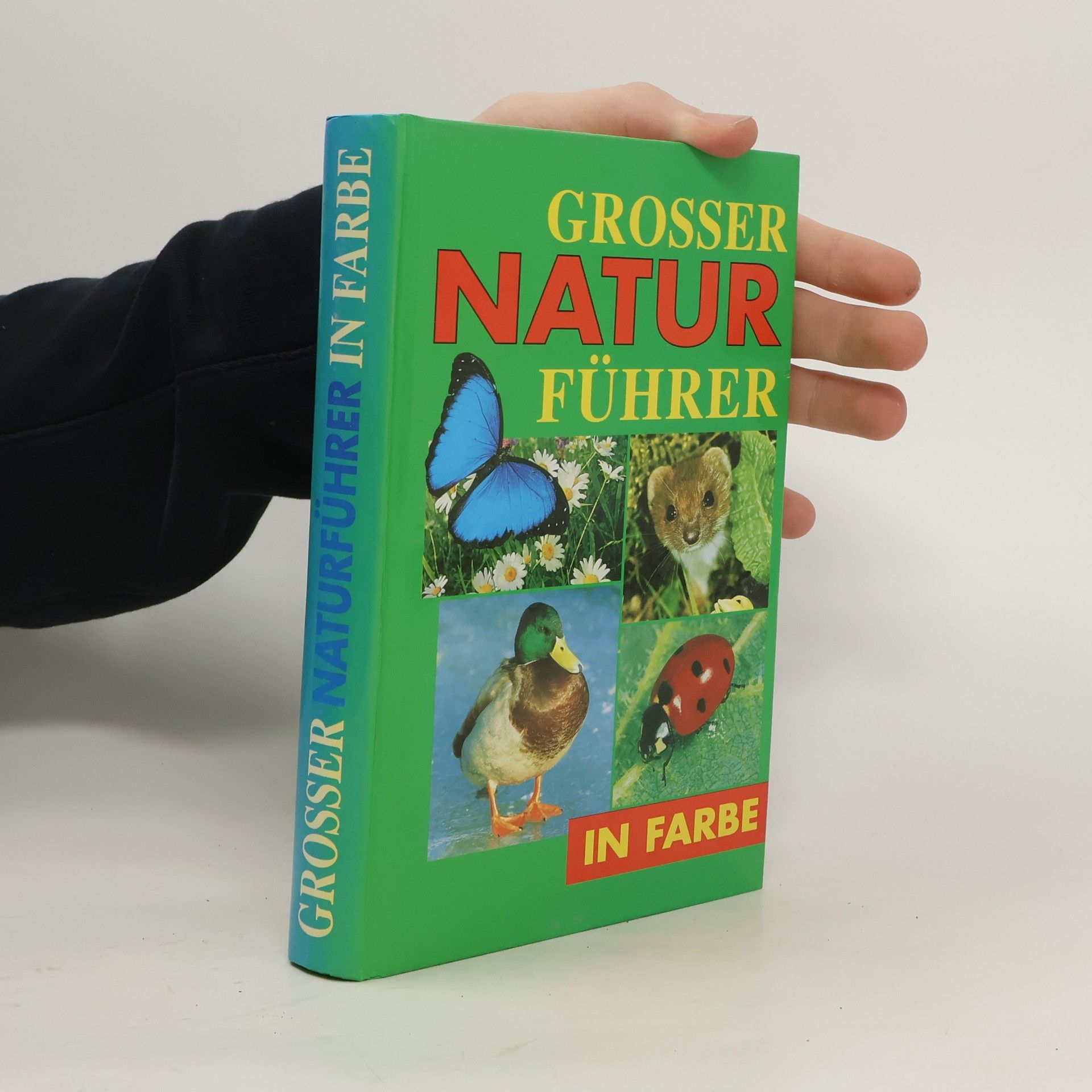 Kolektív autorov Grosser Natur führer in Farbe