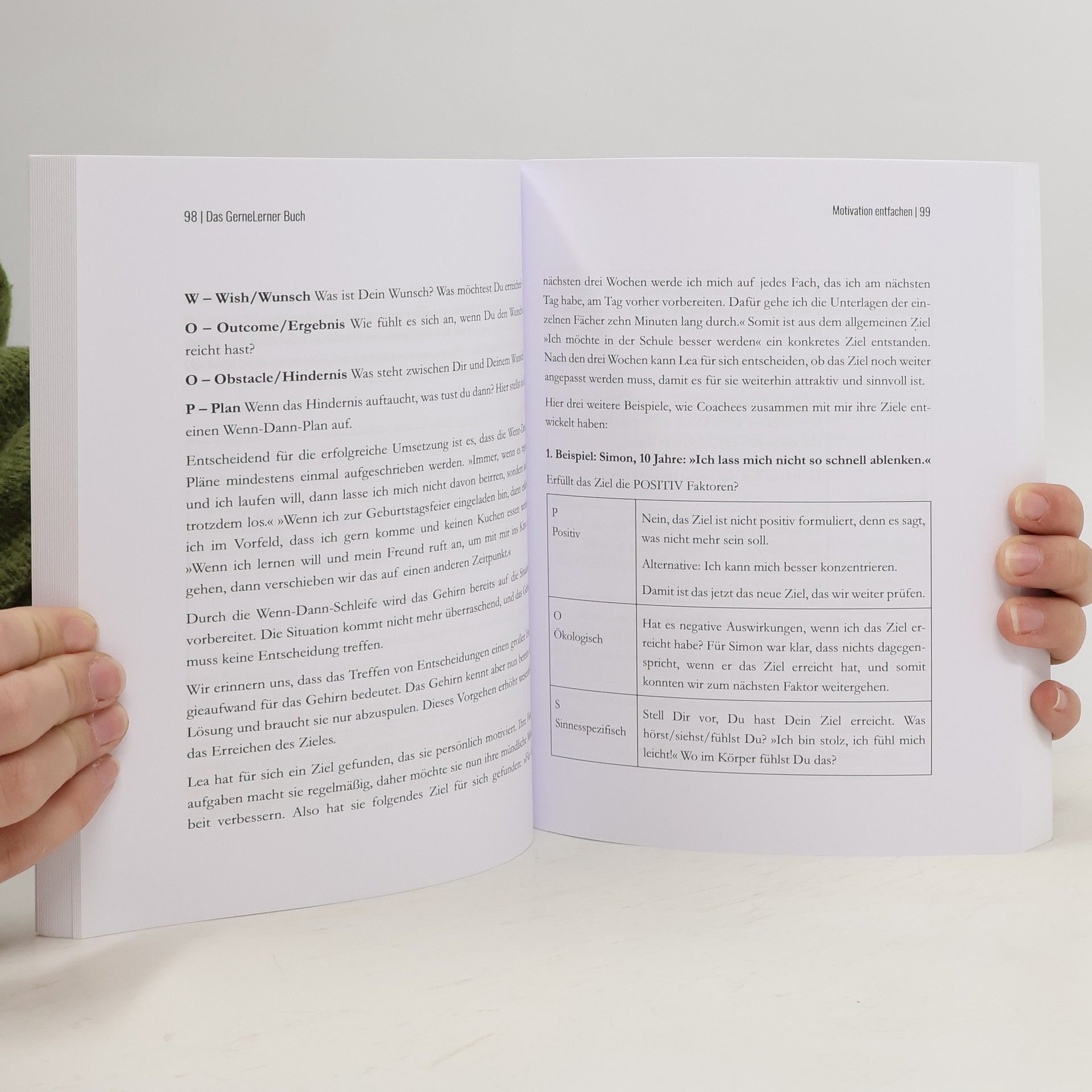 Trixi Tumert Das GerneLerner Buch. Lernen leicht wie Eis essen