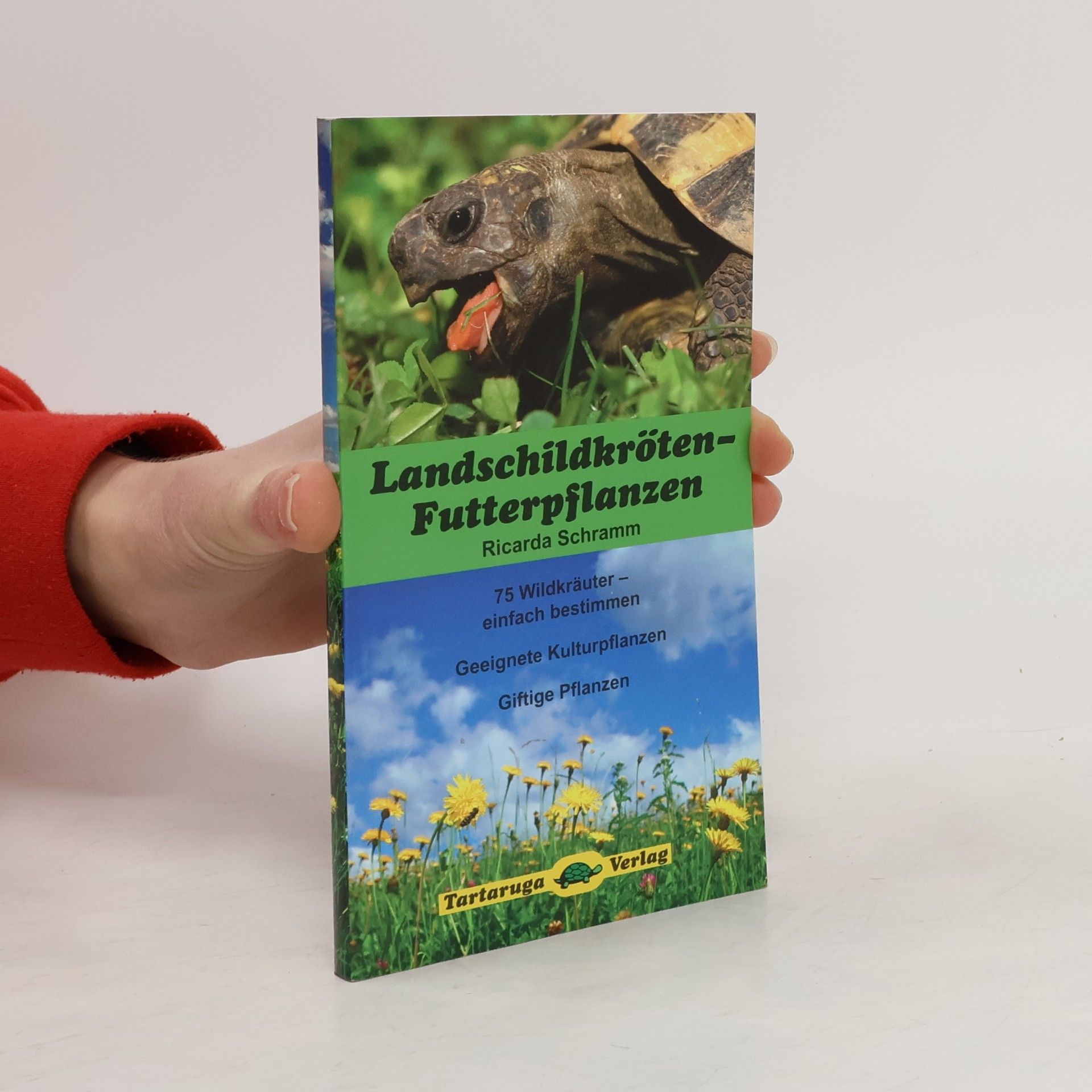Autorenkollektiv Landschildkröten-Futterpflanzen
