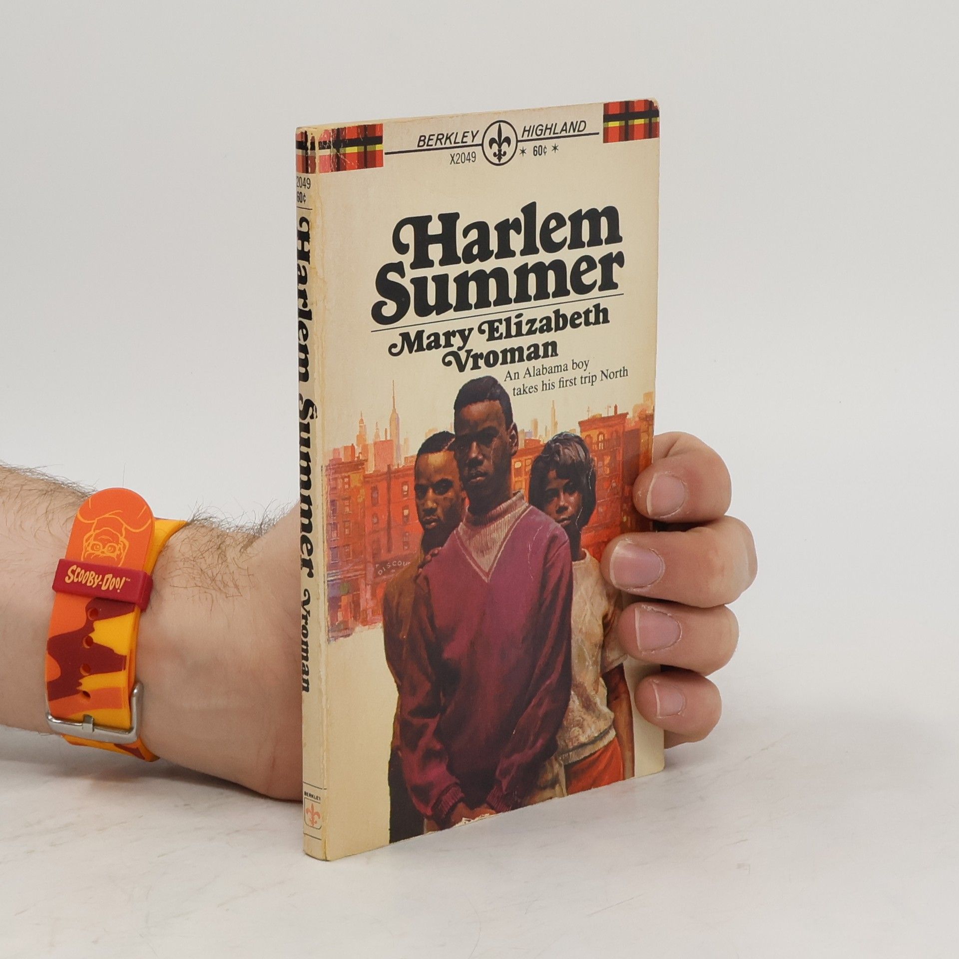 Mary Elizabeth Vroman Harlem Summer