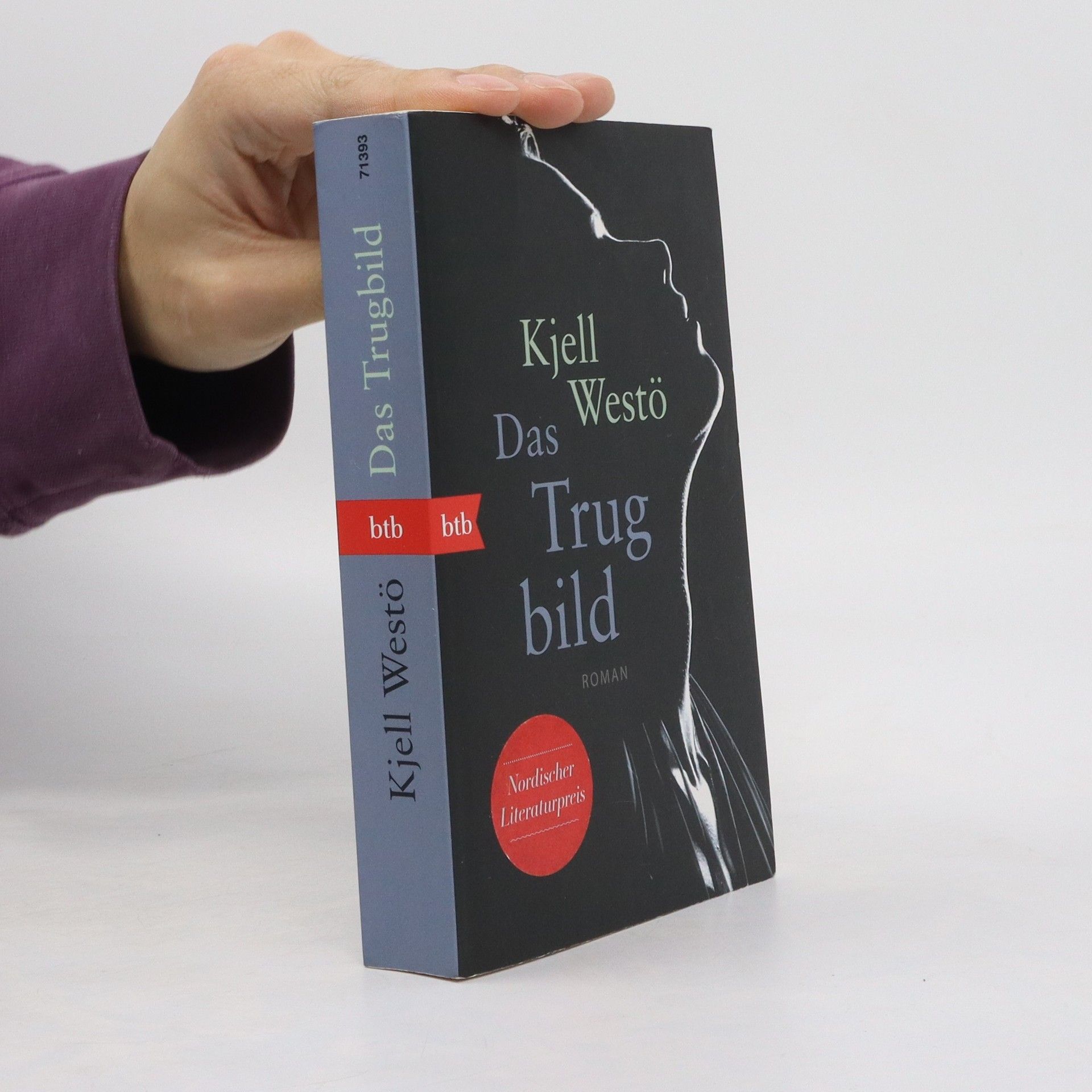 Kjell Westö Das Trugbild